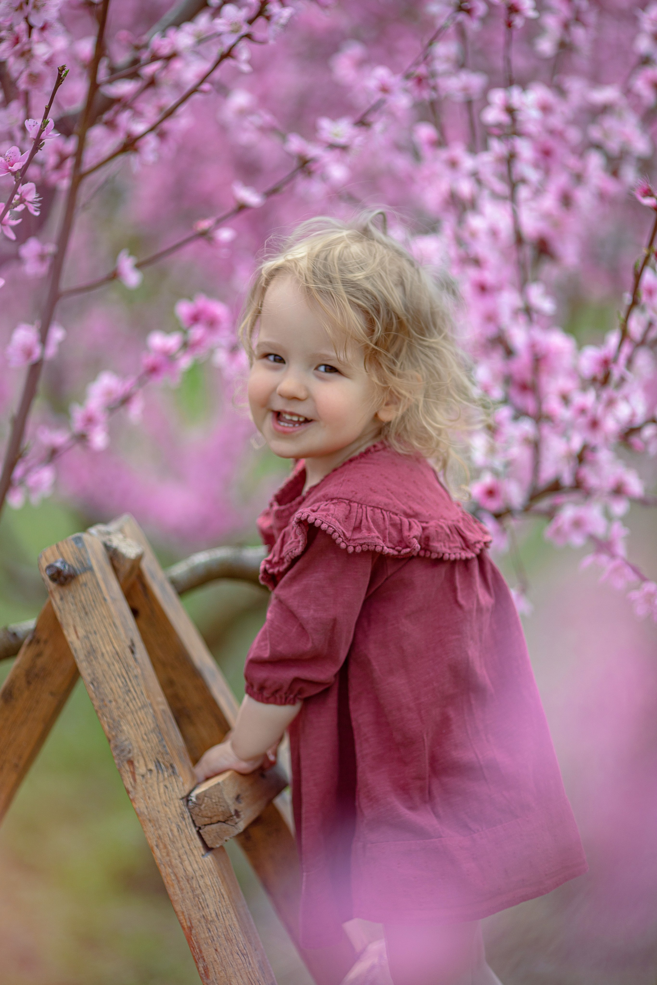 Цветущие персики 2024 г. Семейный и детский фотограф в Крыму Екатерина Швец