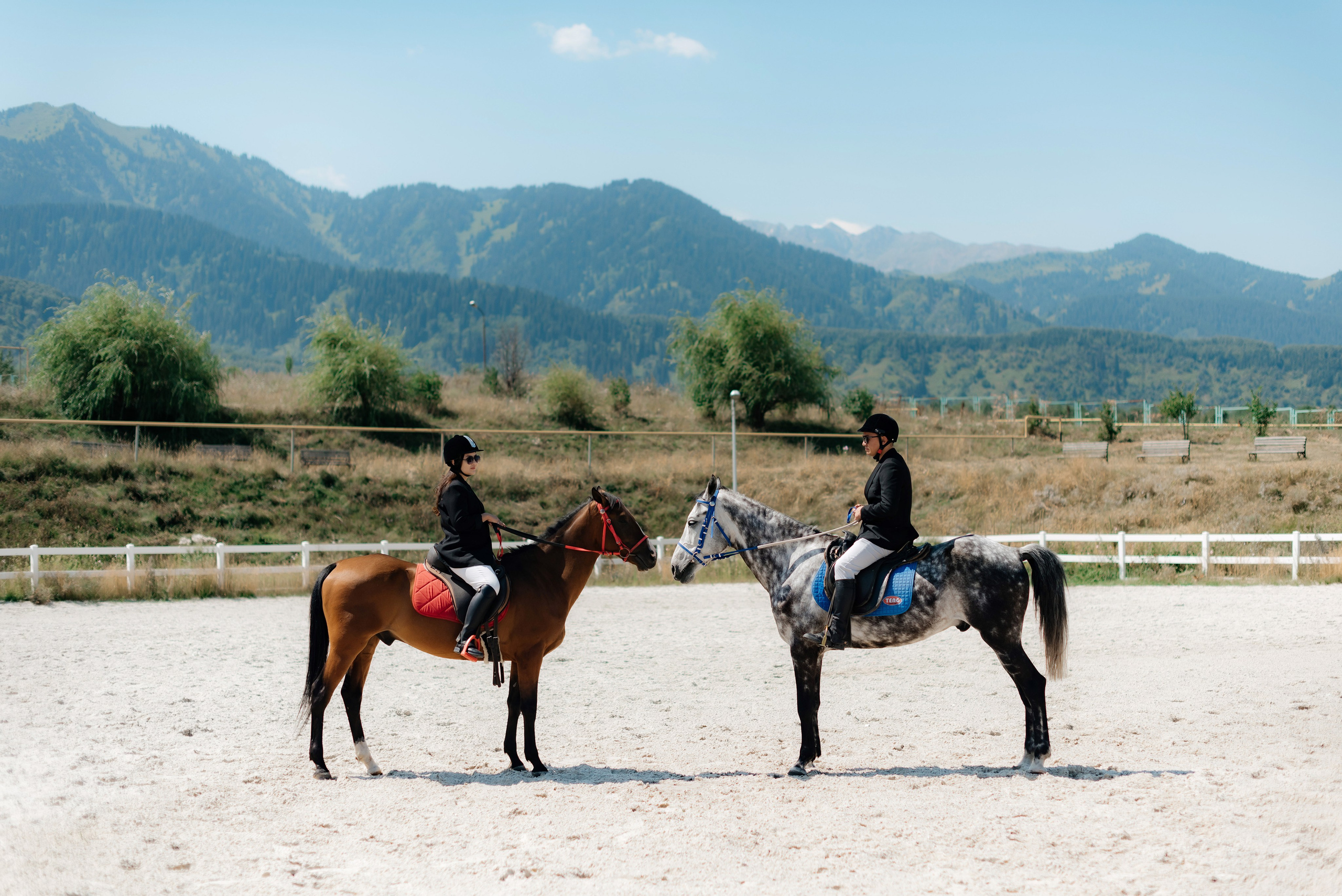 N&S. Свадебный фотограф Махаббатов Алишер