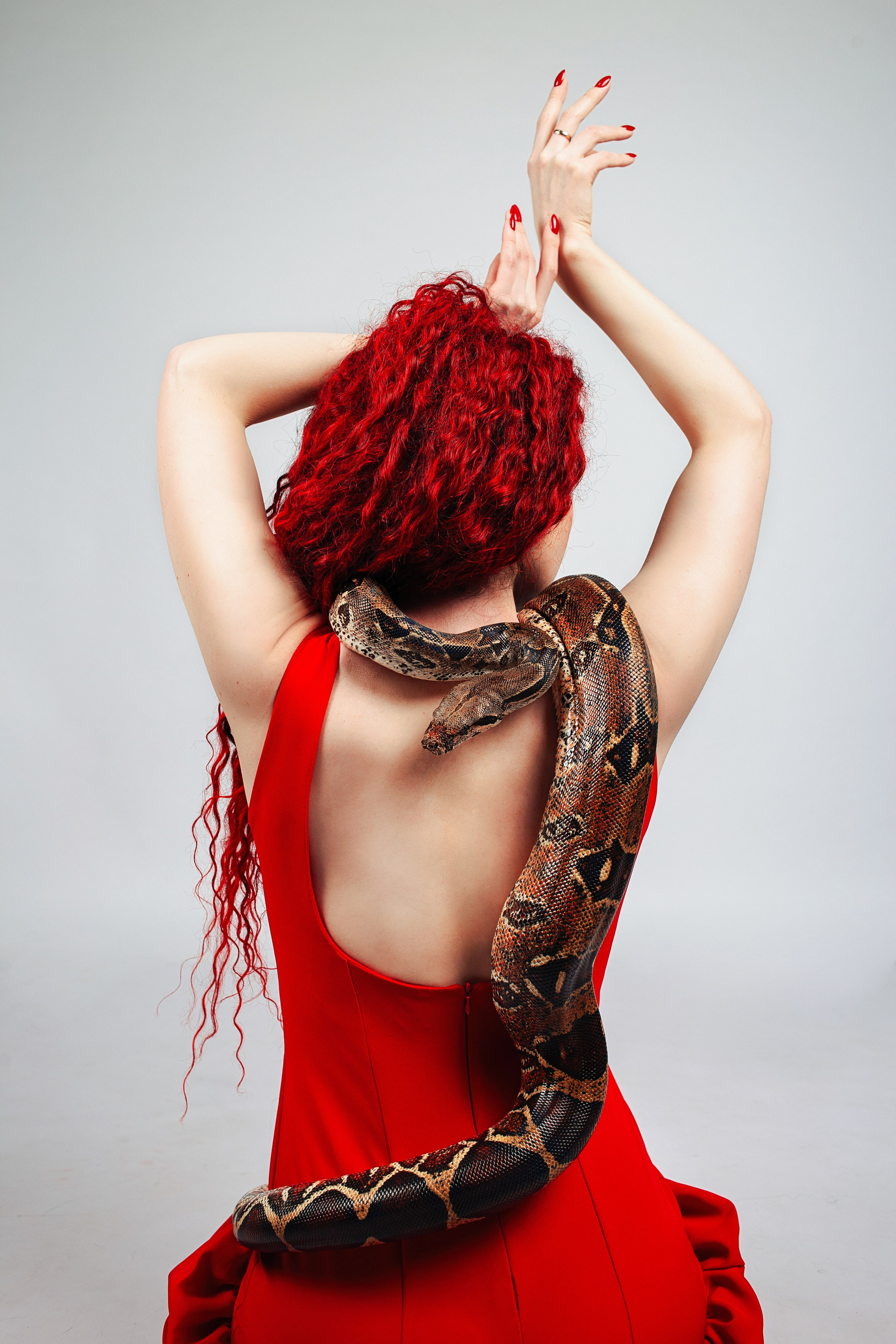 АРЕНДА УДАВА. Фотограф Тамара Нижельская Воронеж