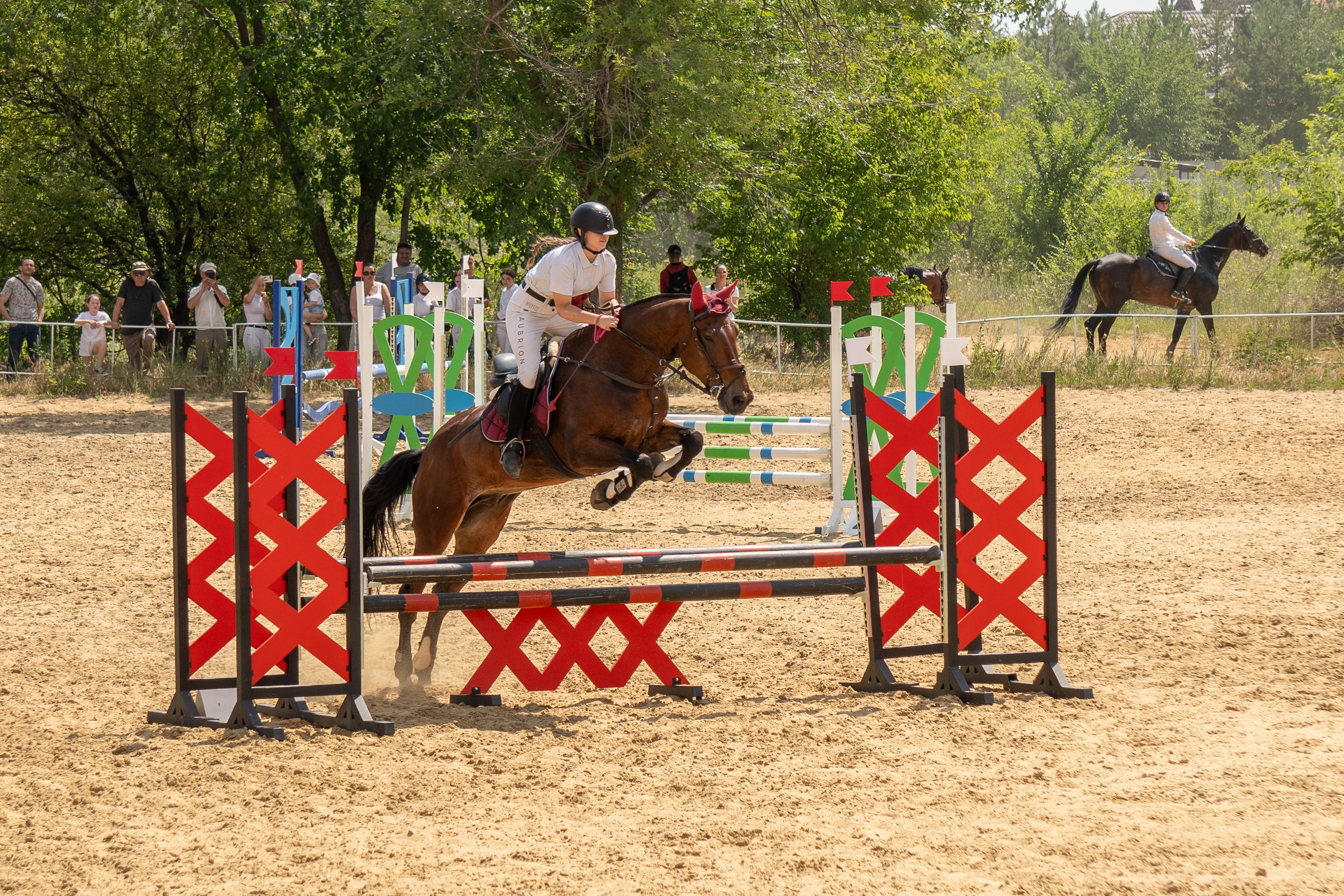 Соревнования по конкуру, Луганск. Фотограф в РФ и ЛНР Юлия Федосеева