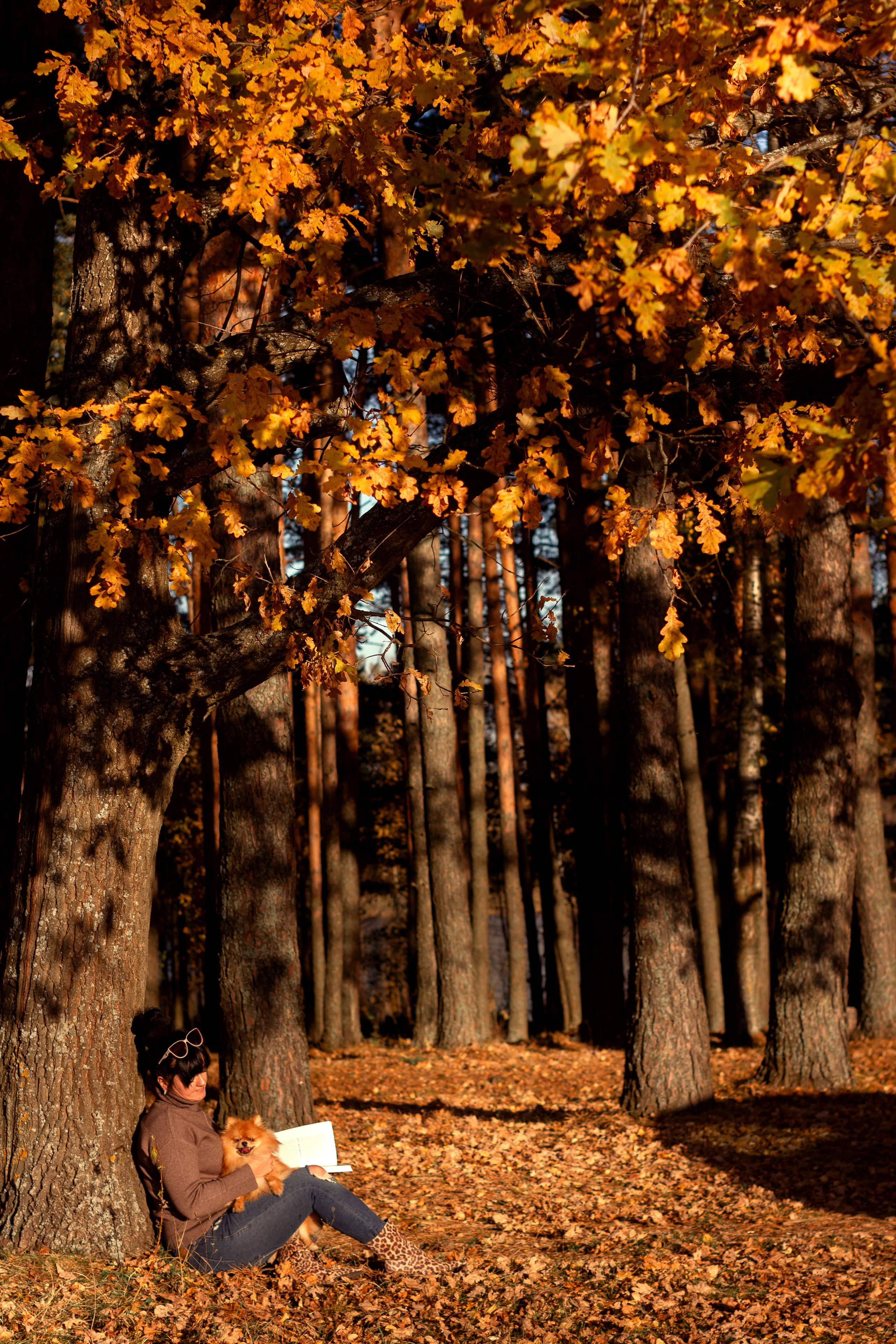 фотосессия во Владимире. Женский портрет,  фотографов Владимире 