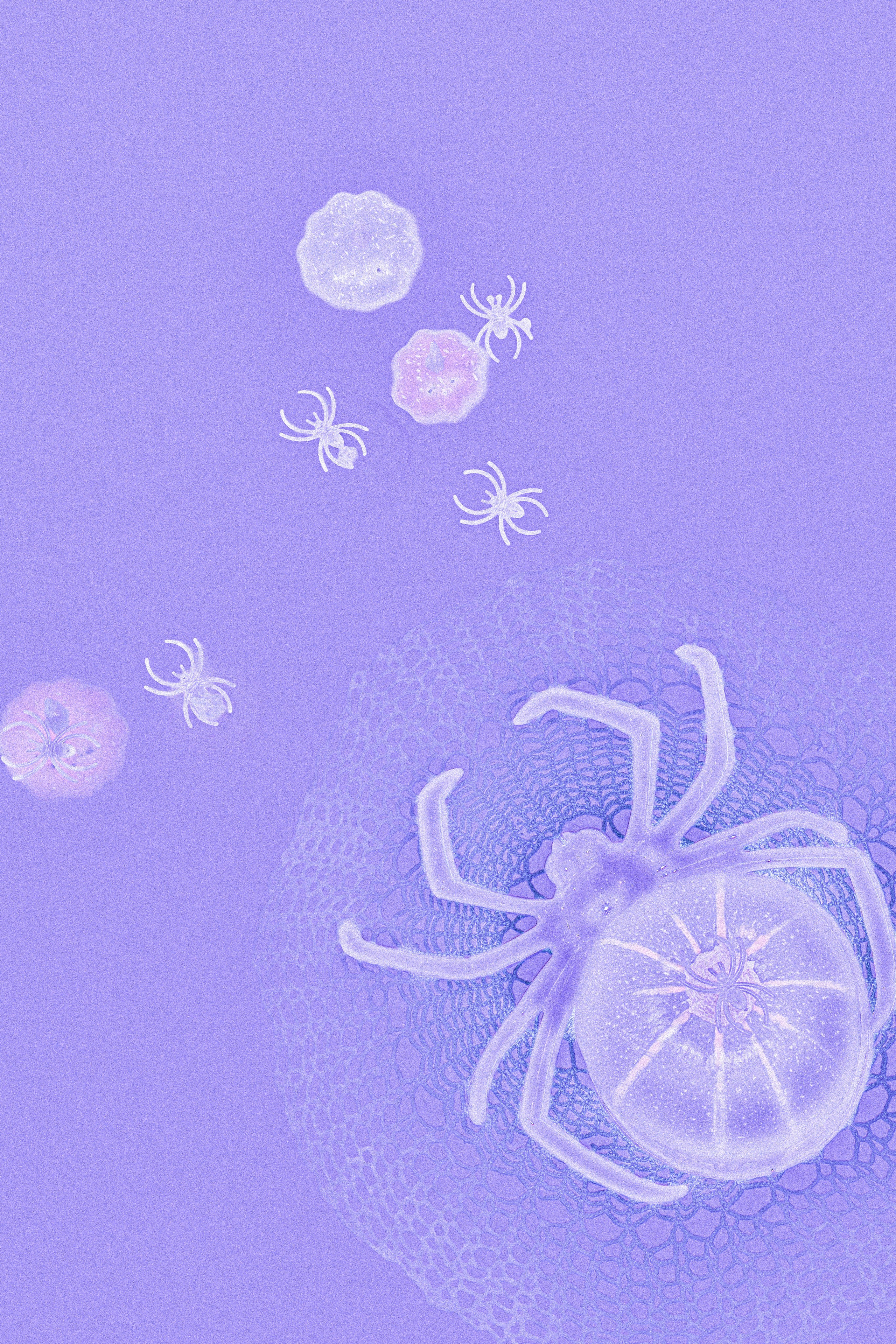 ПРИНТЫ. Виктория Князева| фотограф из Санкт-Петербурга