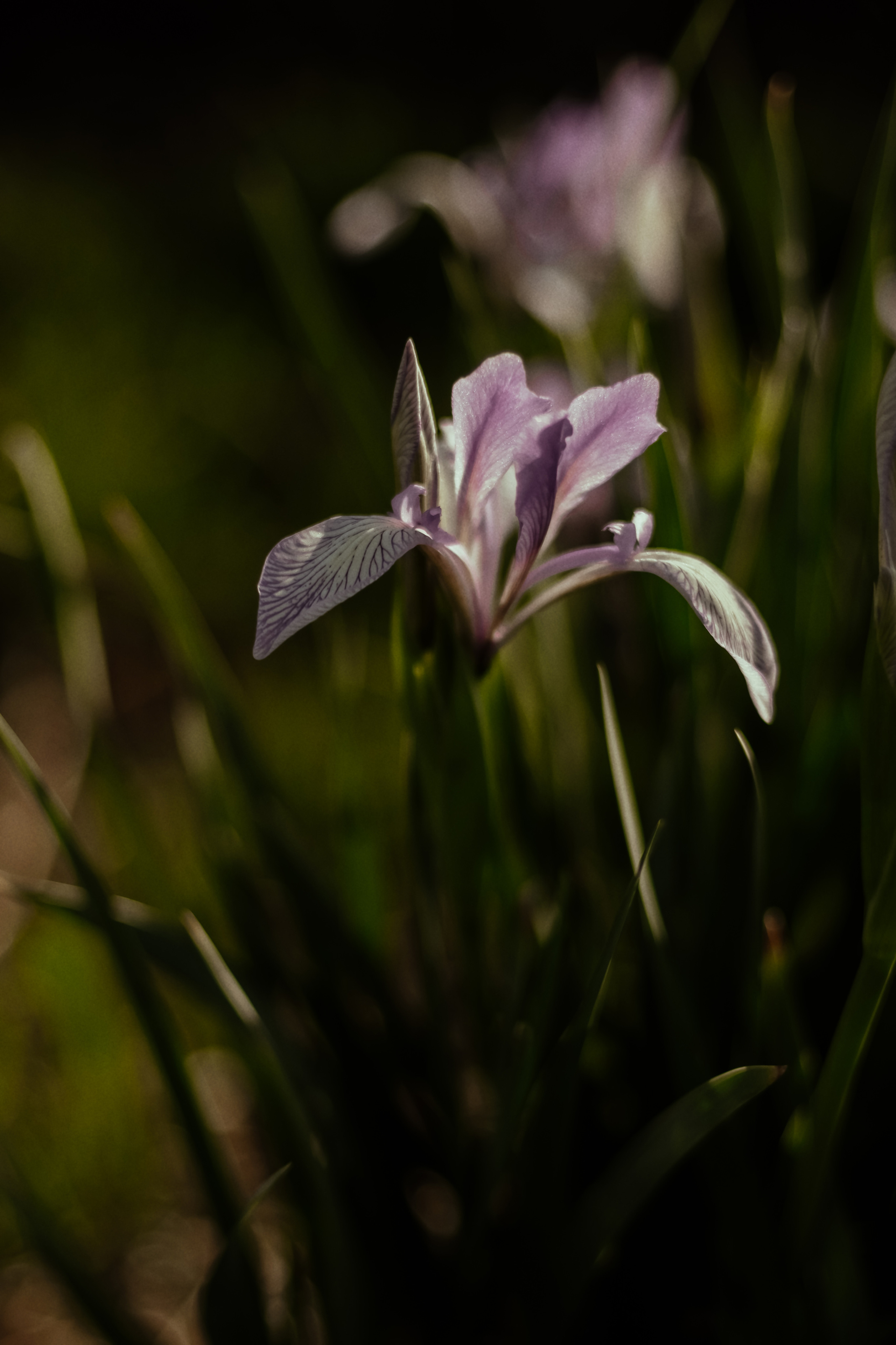 Лера. Фотограф Москва, Санкт-Петербург, Абакан