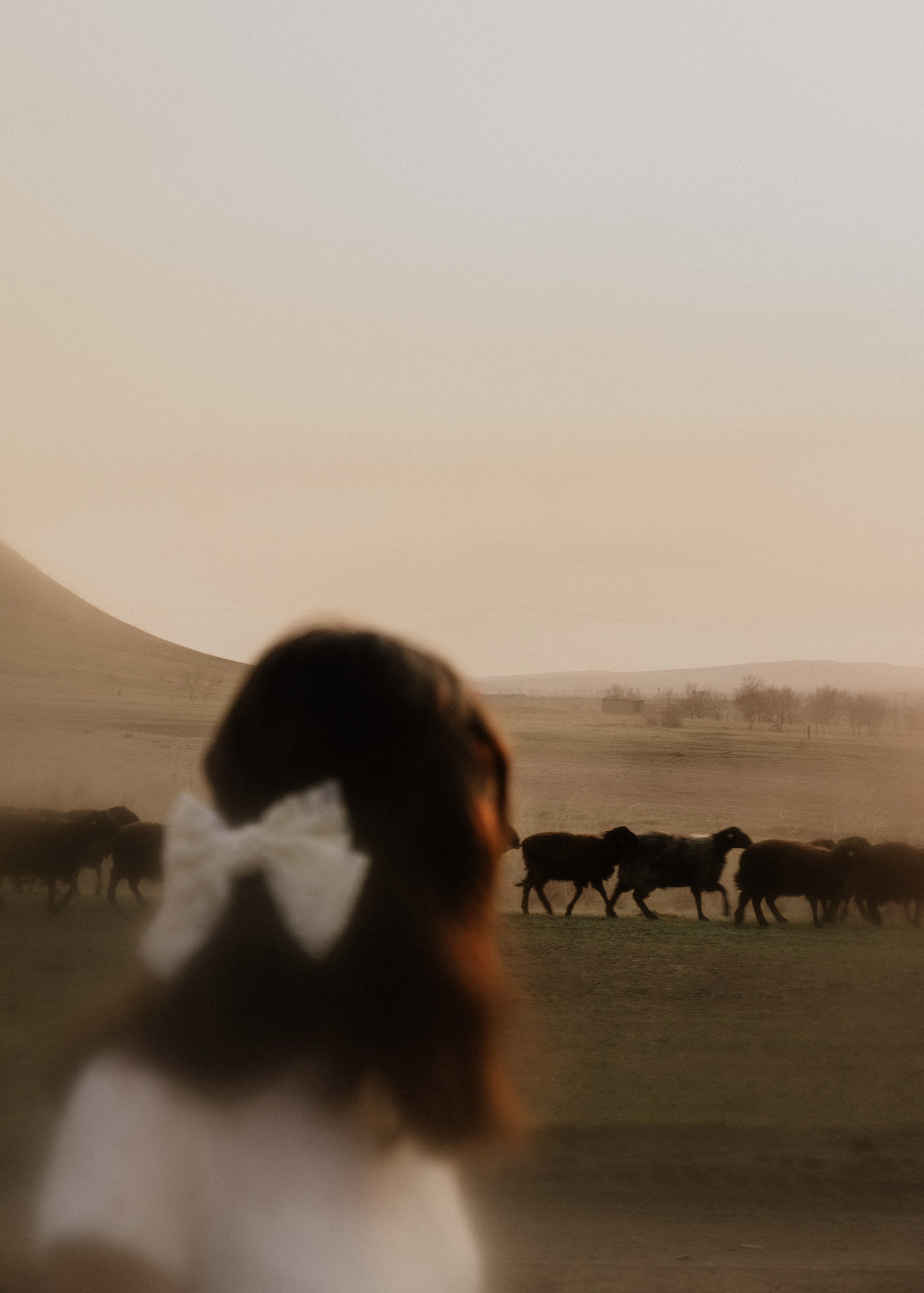 Диана. Фотограф Москва, Санкт-Петербург, Абакан
