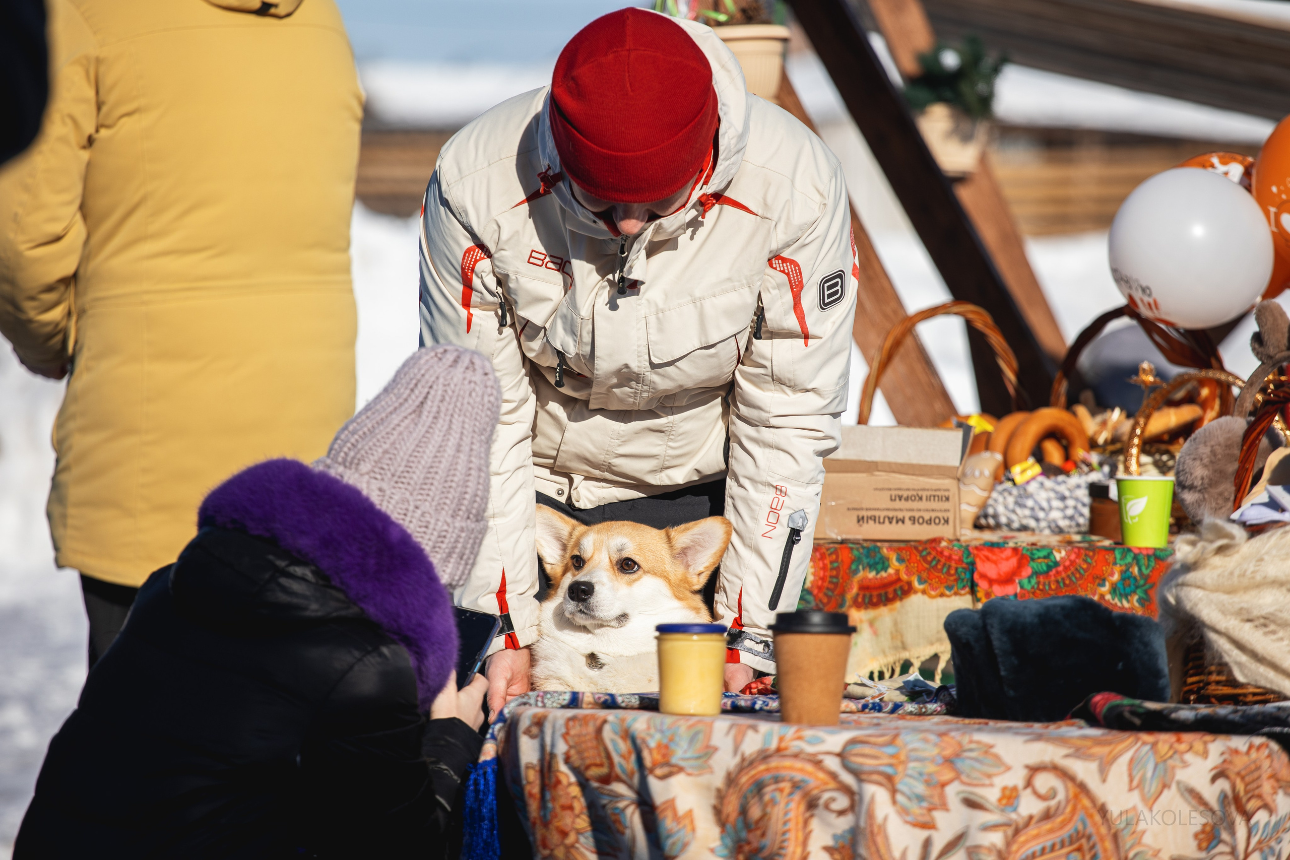 Коргитуса 2.03.2024. YULA KOLESOVA | Фотограф — Анималист | Художник | Тюмень