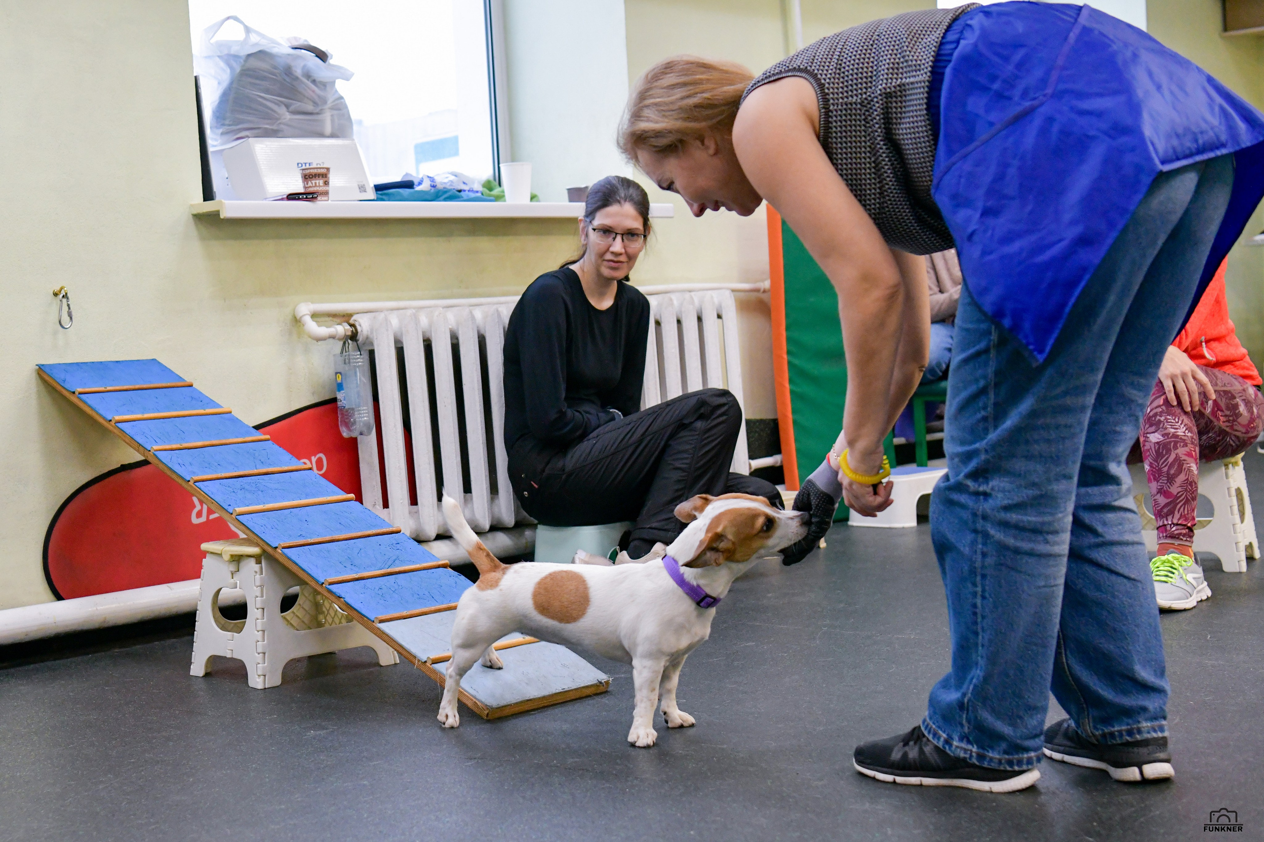 Кинологический клуб «Бодрый хвост». Свой взгляд через объектив