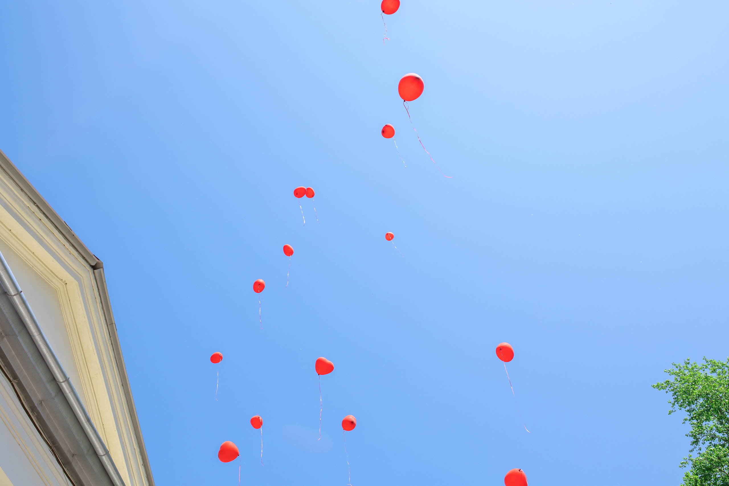 Школа. Свадебный фотограф в Хабаровске