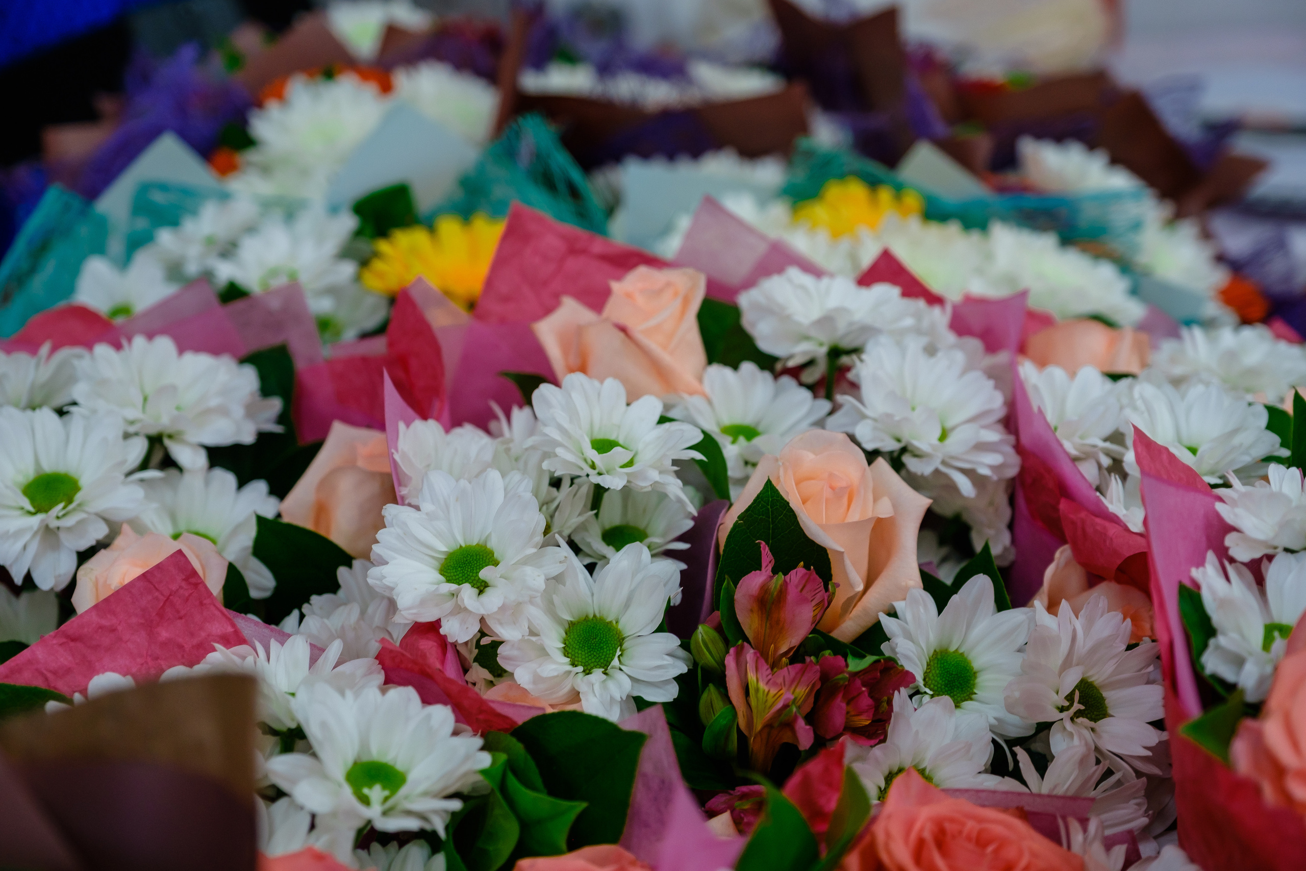 Школа. Свадебный фотограф в Хабаровске