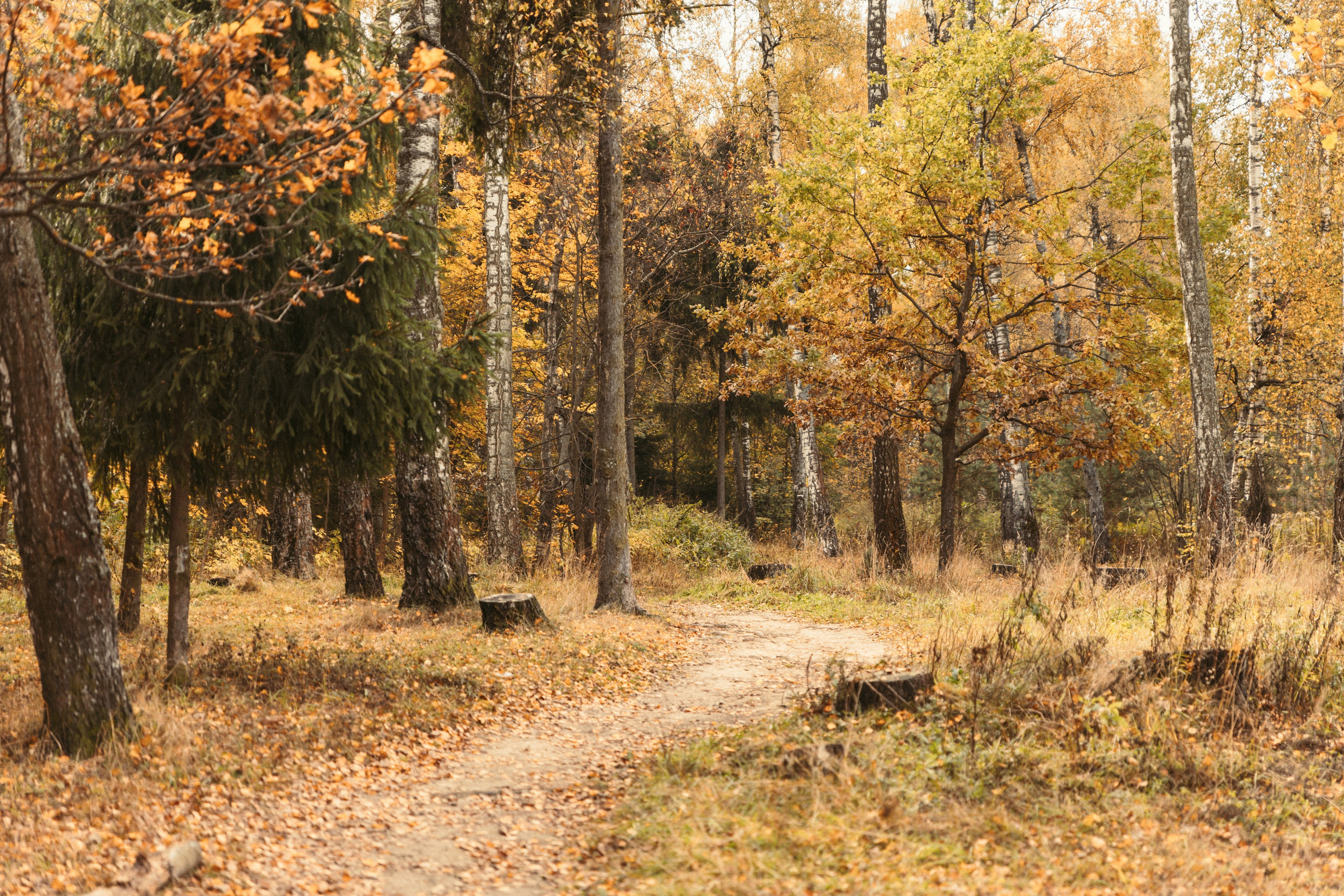 Маша, Игорь, Лева, Матвей. Семейный фотограф В Москве Александра Дейкун