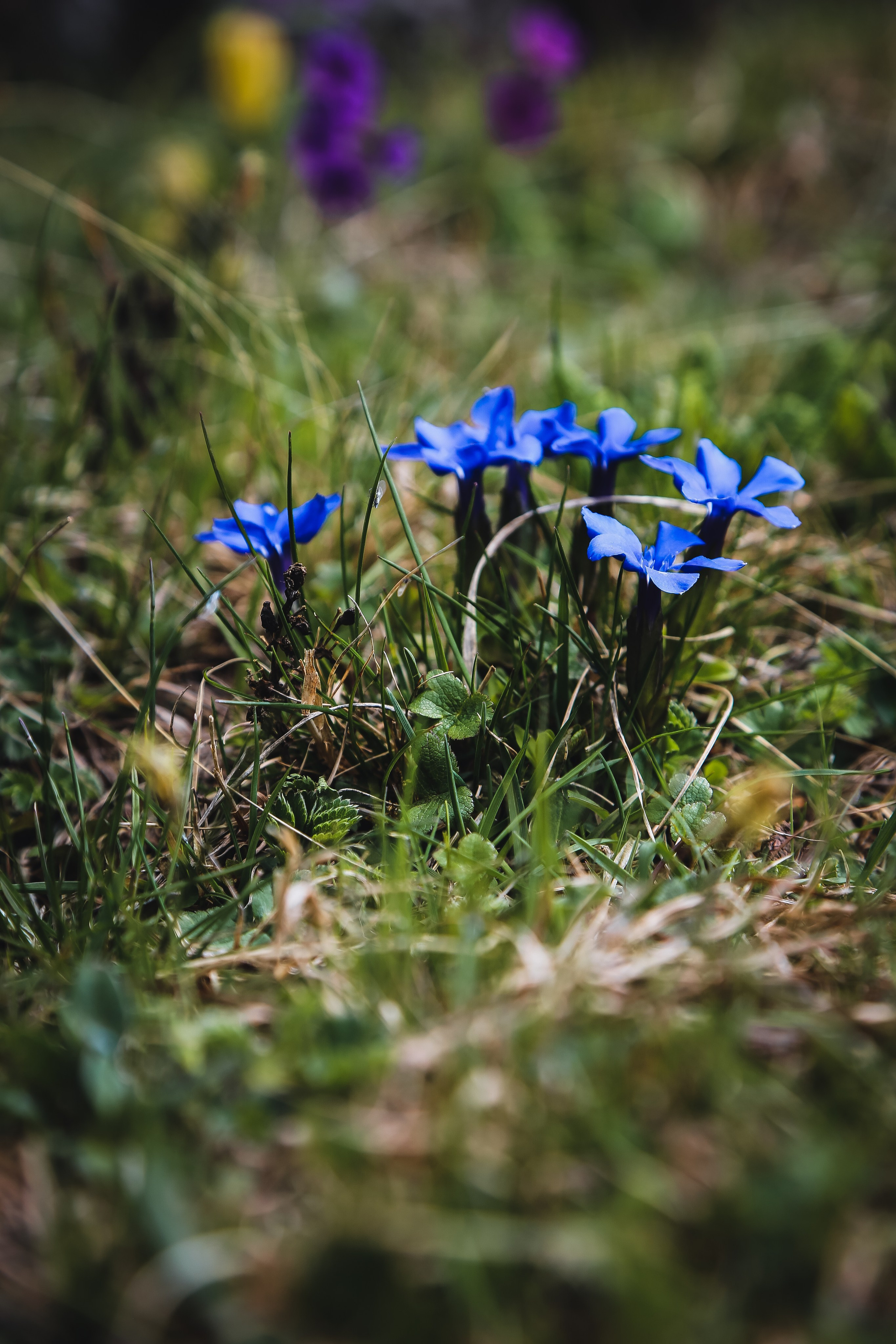 Кавказ: Ингушетия — страна башен. Дарья Письменюк / Darya Leitstern — фотограф, музыкант, журналист, путешественник