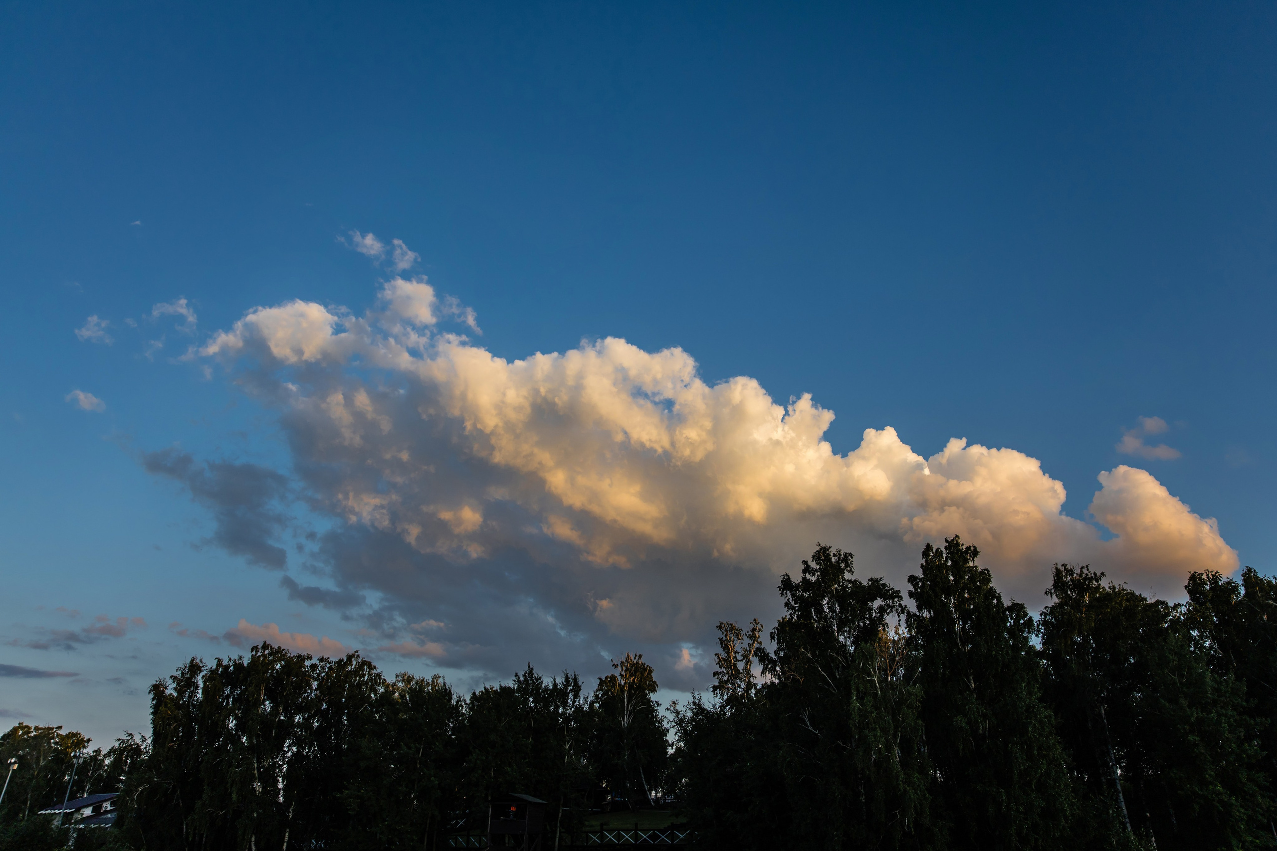 Арсентий и Даша. Свадебный и Семейный фотограф по всему миру Анна Фёдорова