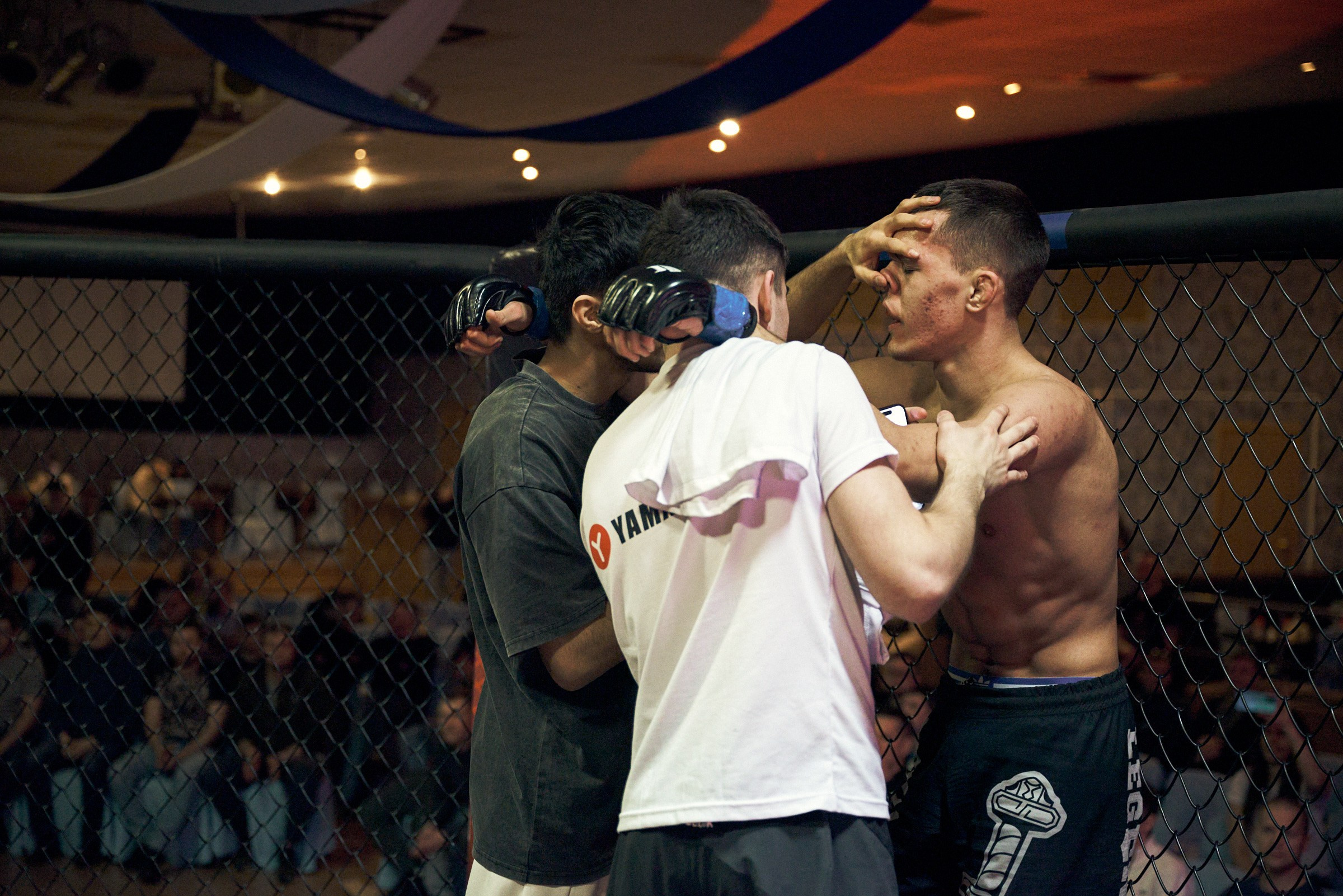 Бои. Маляревич Дмитрий свадебный фотограф