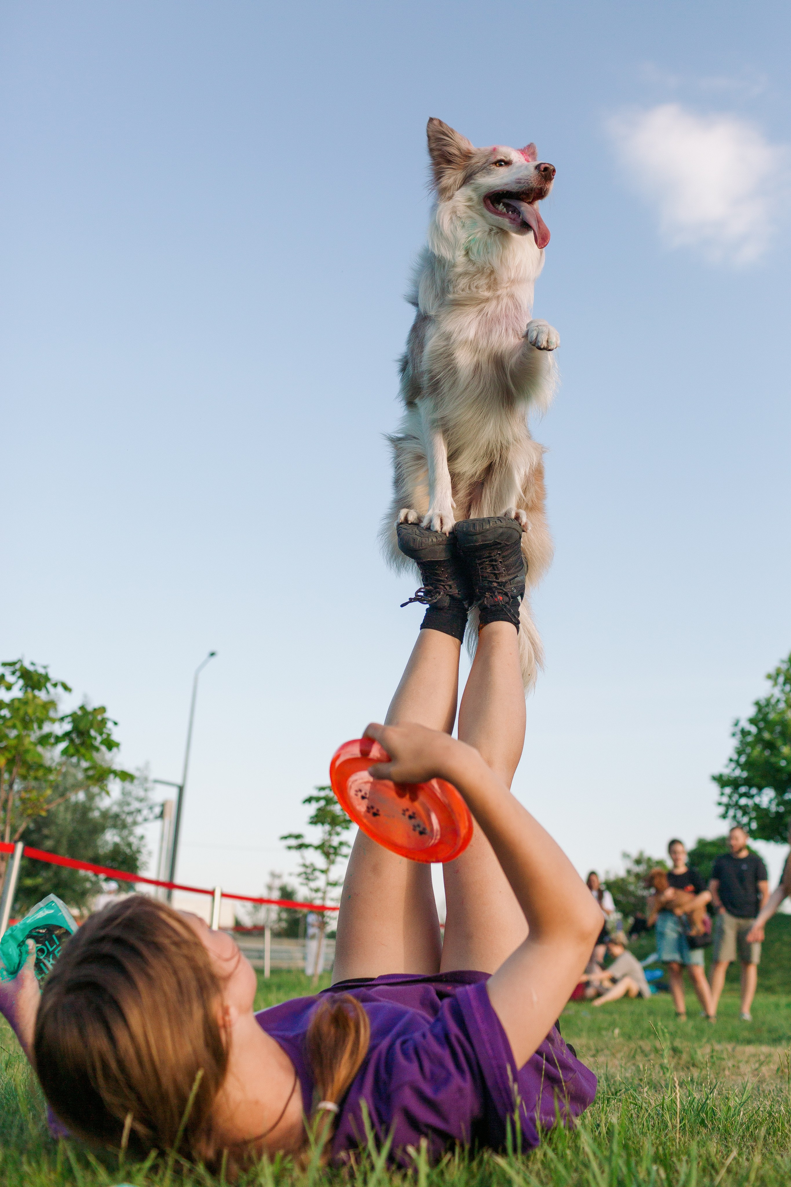 Dog Fest 2024. Главная