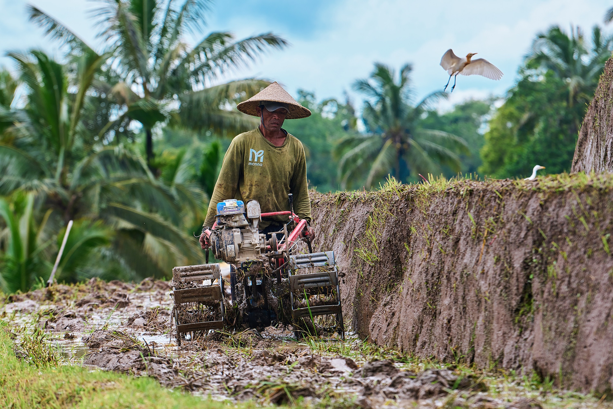 Жизнь, люди, стрит, вокруг, животные, на улице. Яркие фото на Чёрном море