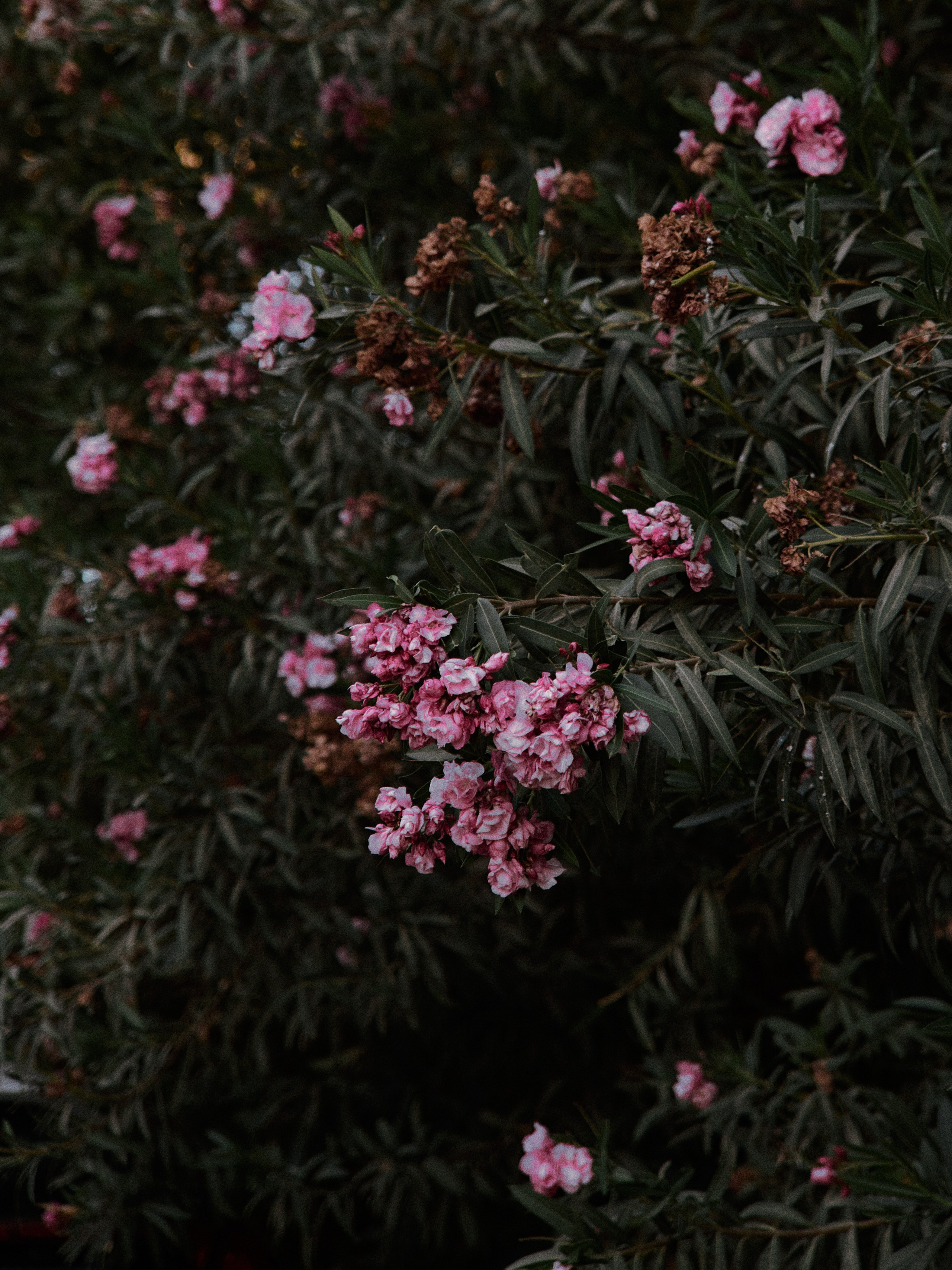 Природа. Jorgis Talè — photographer, kind person, teacher of arts and other mag