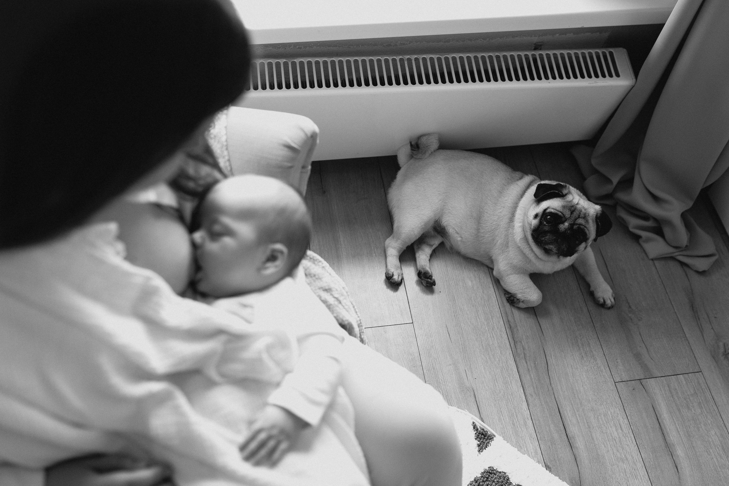 Малыш Федор. Фотограф новорожденных малышей Одинцово/Москва Юлия Скок