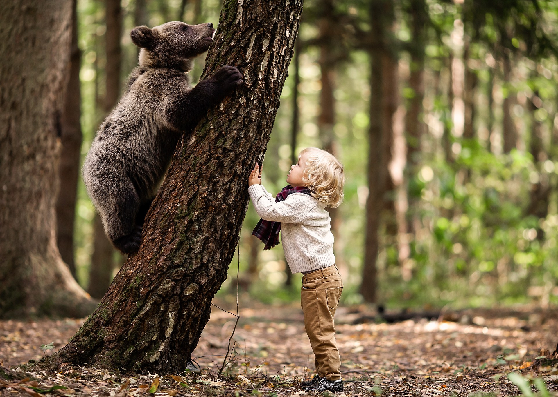 Мальчик с медвежонком