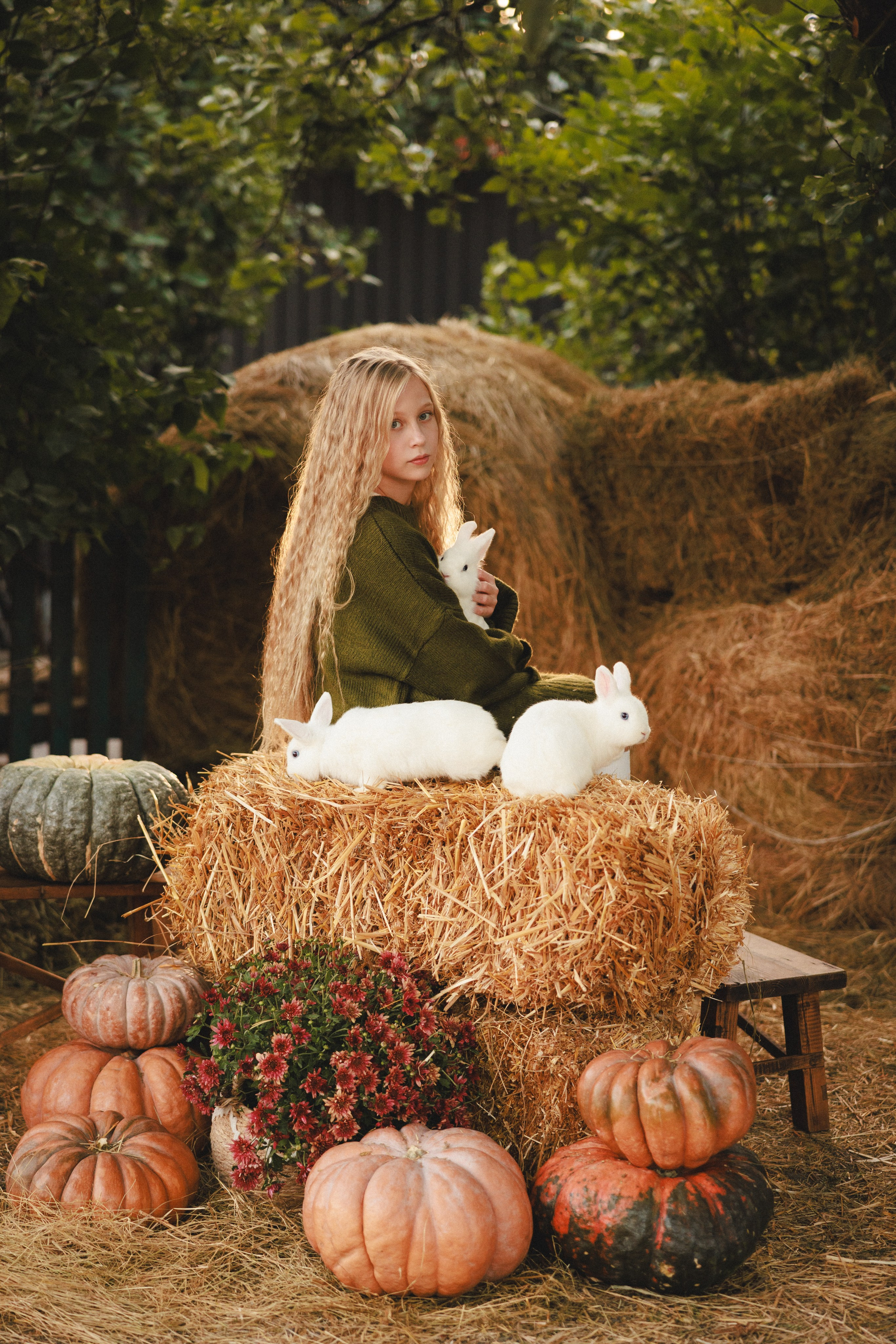 Фотосессия с животными питомника «Клевер»