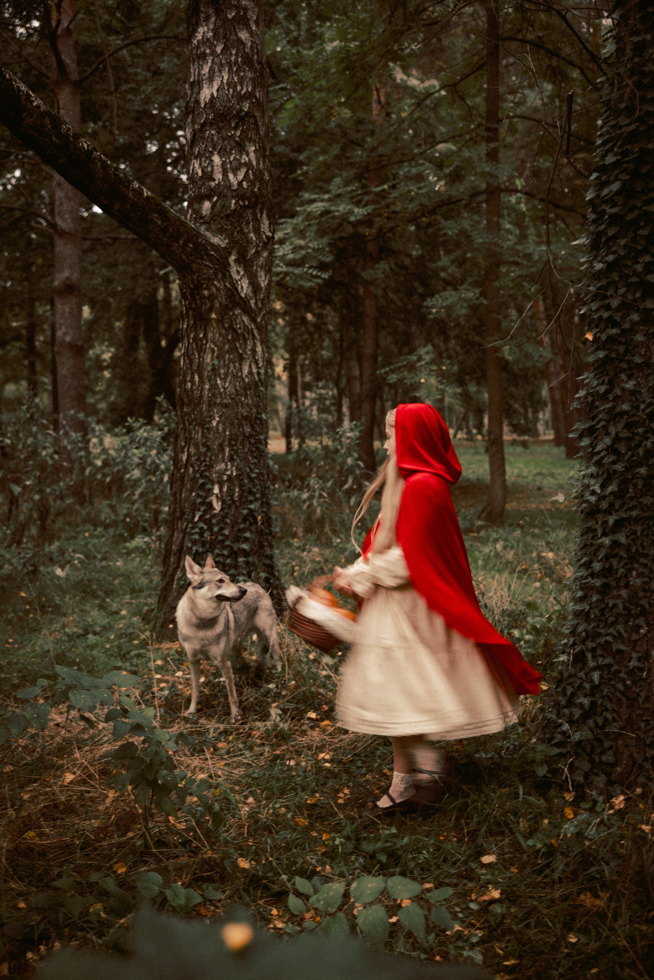 Сказочная фотосессия «Красная шапочка»
