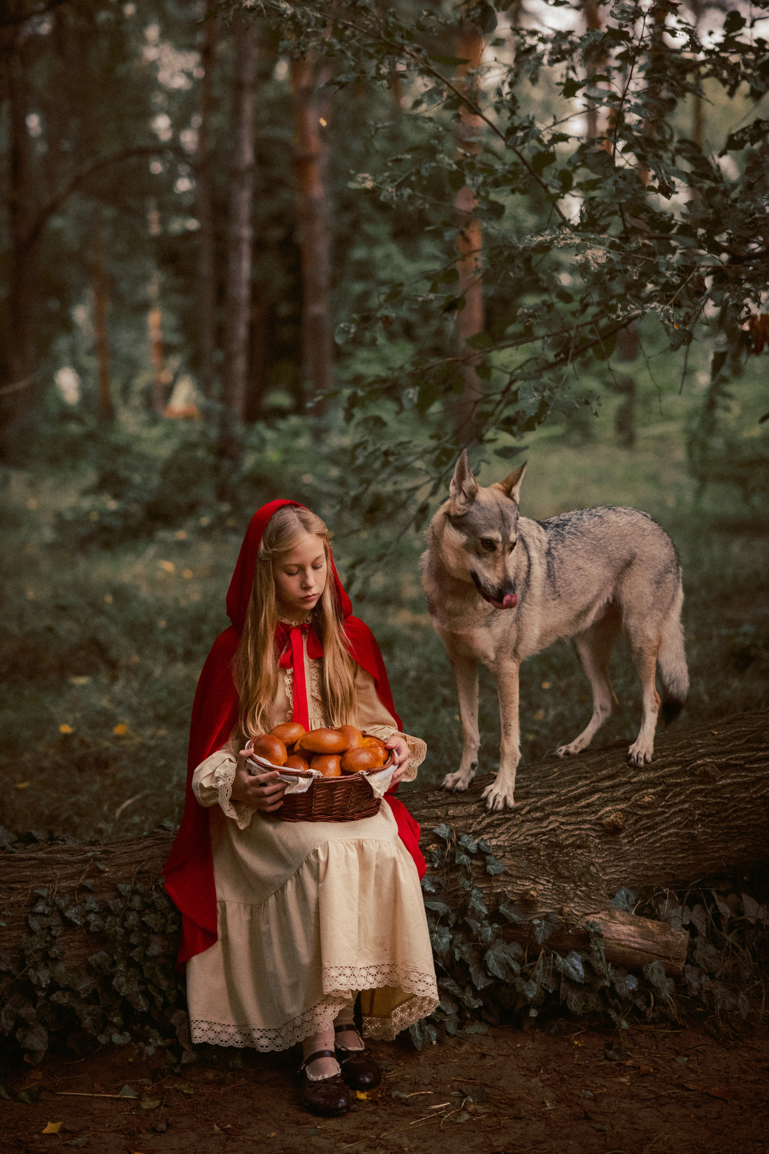 Сказочная фотосессия «Красная шапочка»