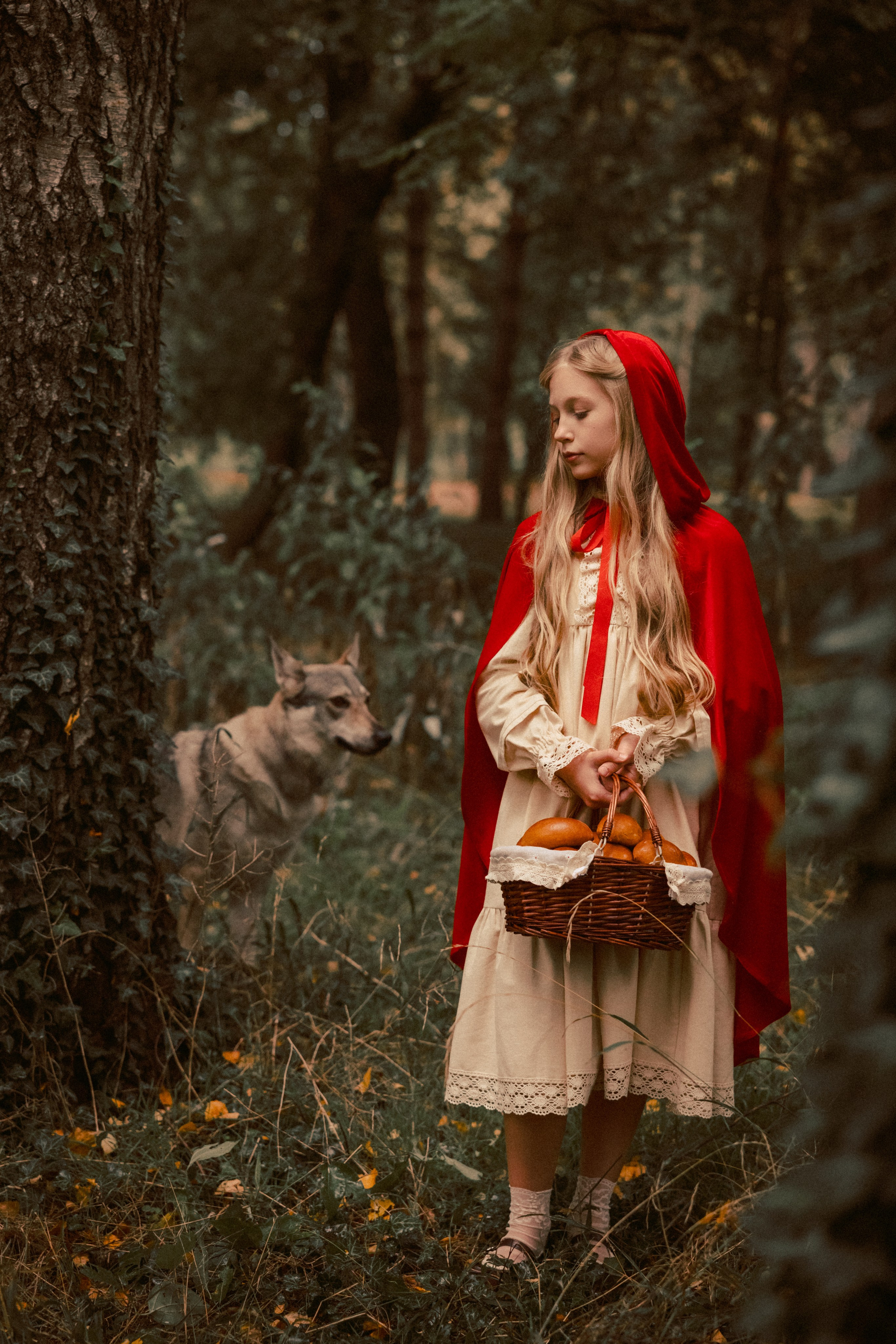 Сказочная фотосессия «Красная шапочка»