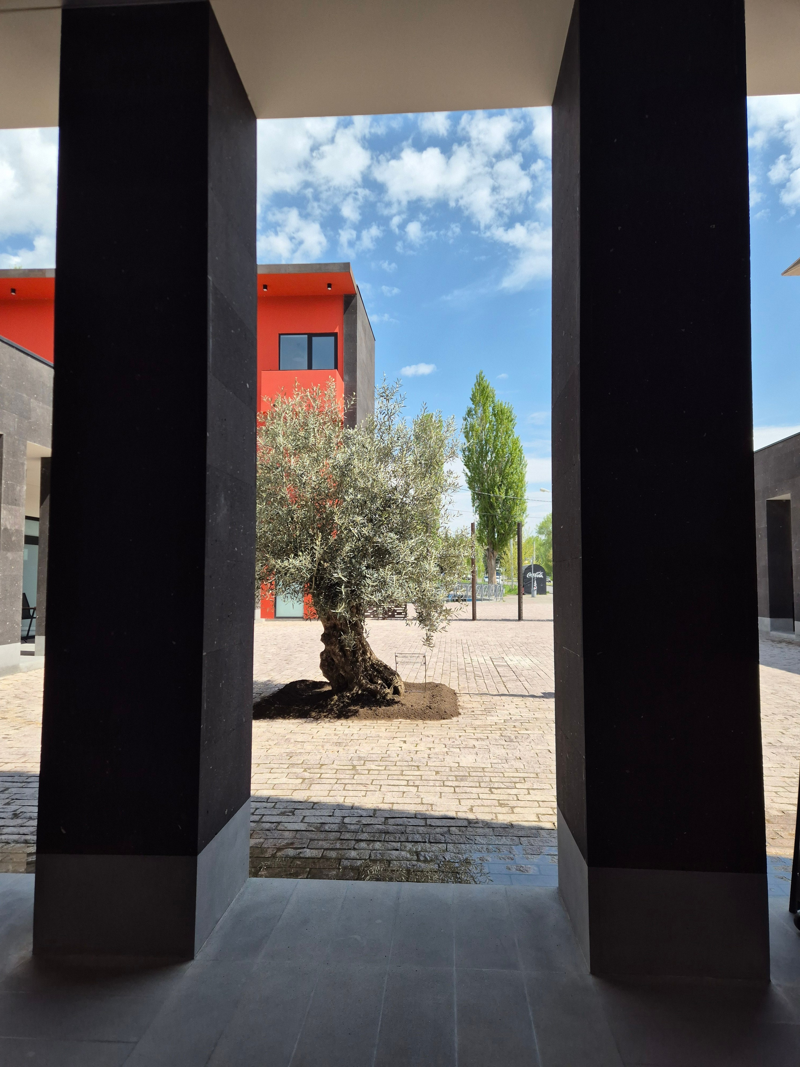 Следующее утро встретило голубым небом и солнышком