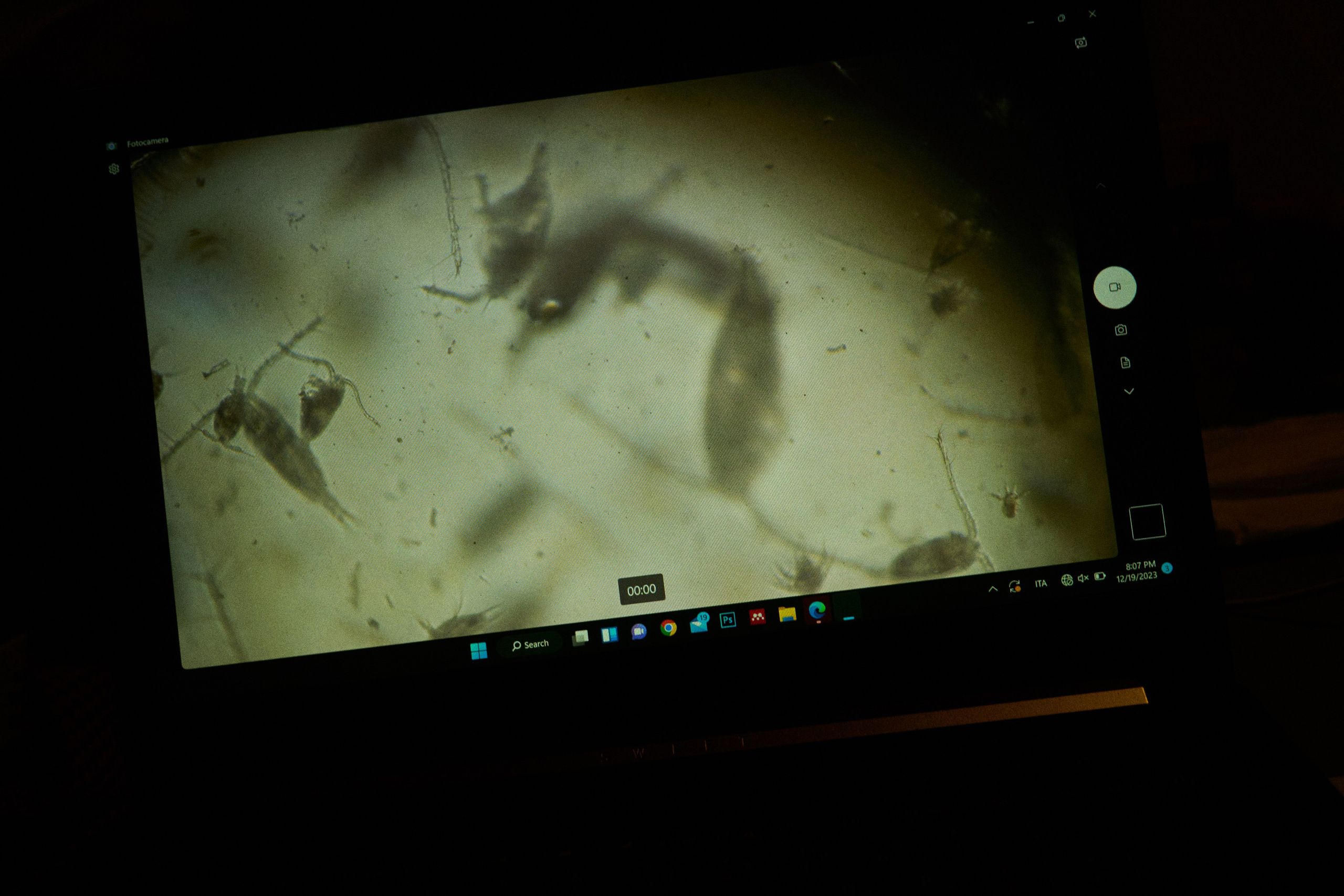 Morocco-Gambia. See the moment and catche. commercial and reportage