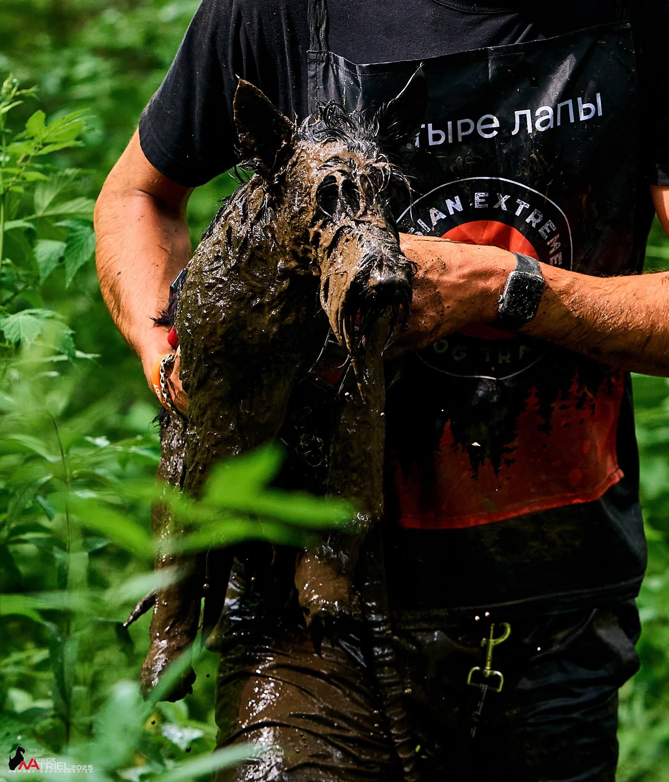 Russian Extreme Dog Trail — 2025