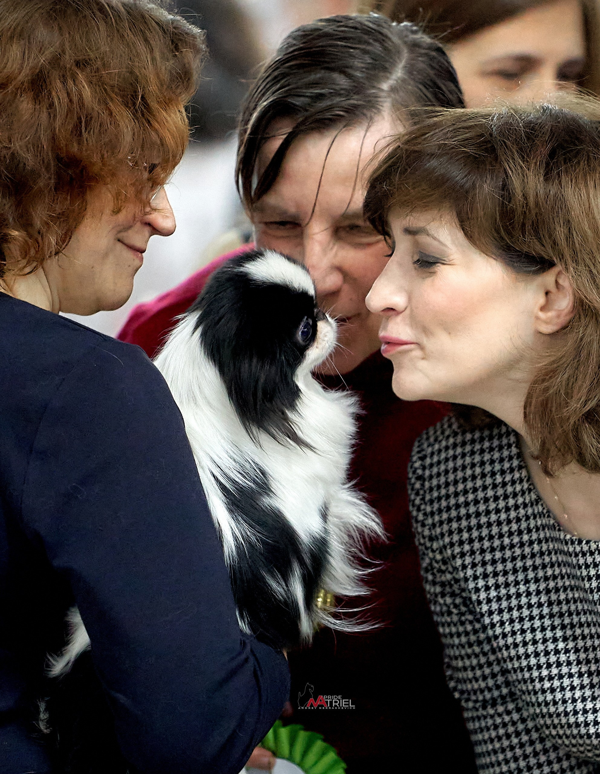 Картинки с выставки — галерея NATRIEL