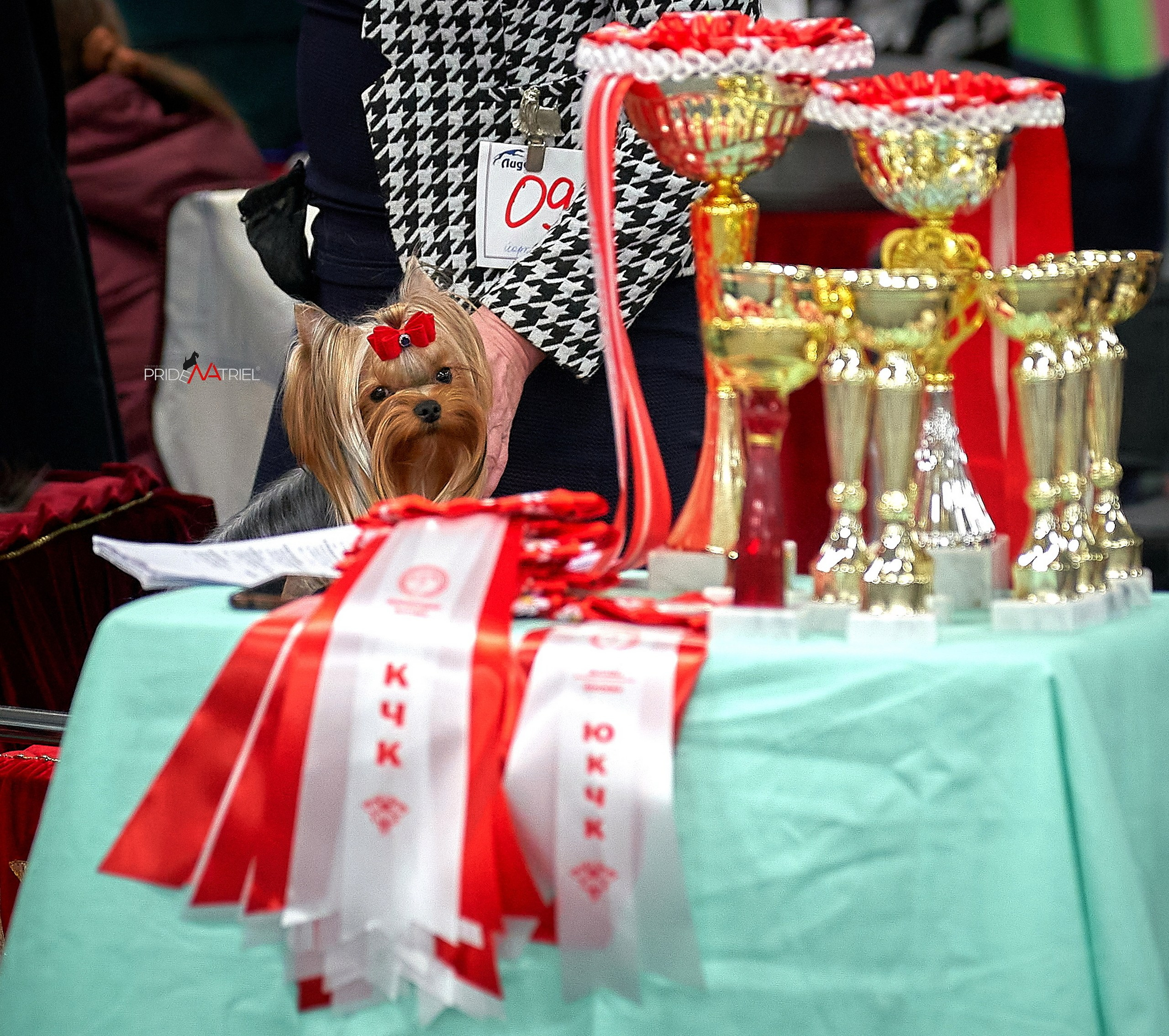 Призовые места — галерея NATRIEL