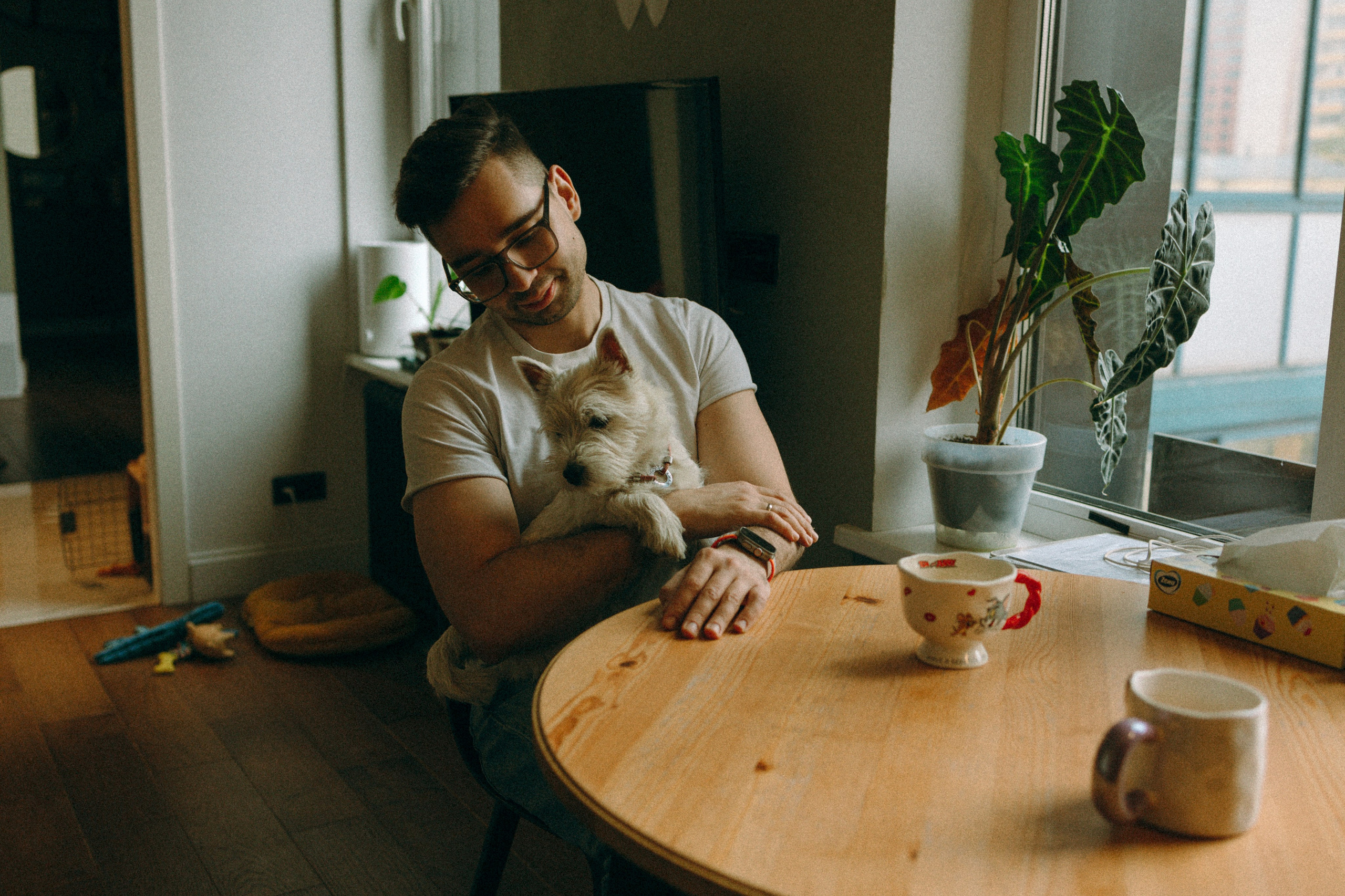 Снежуля, Мари и Саша. Фотограф анималист Анастасия Пикей