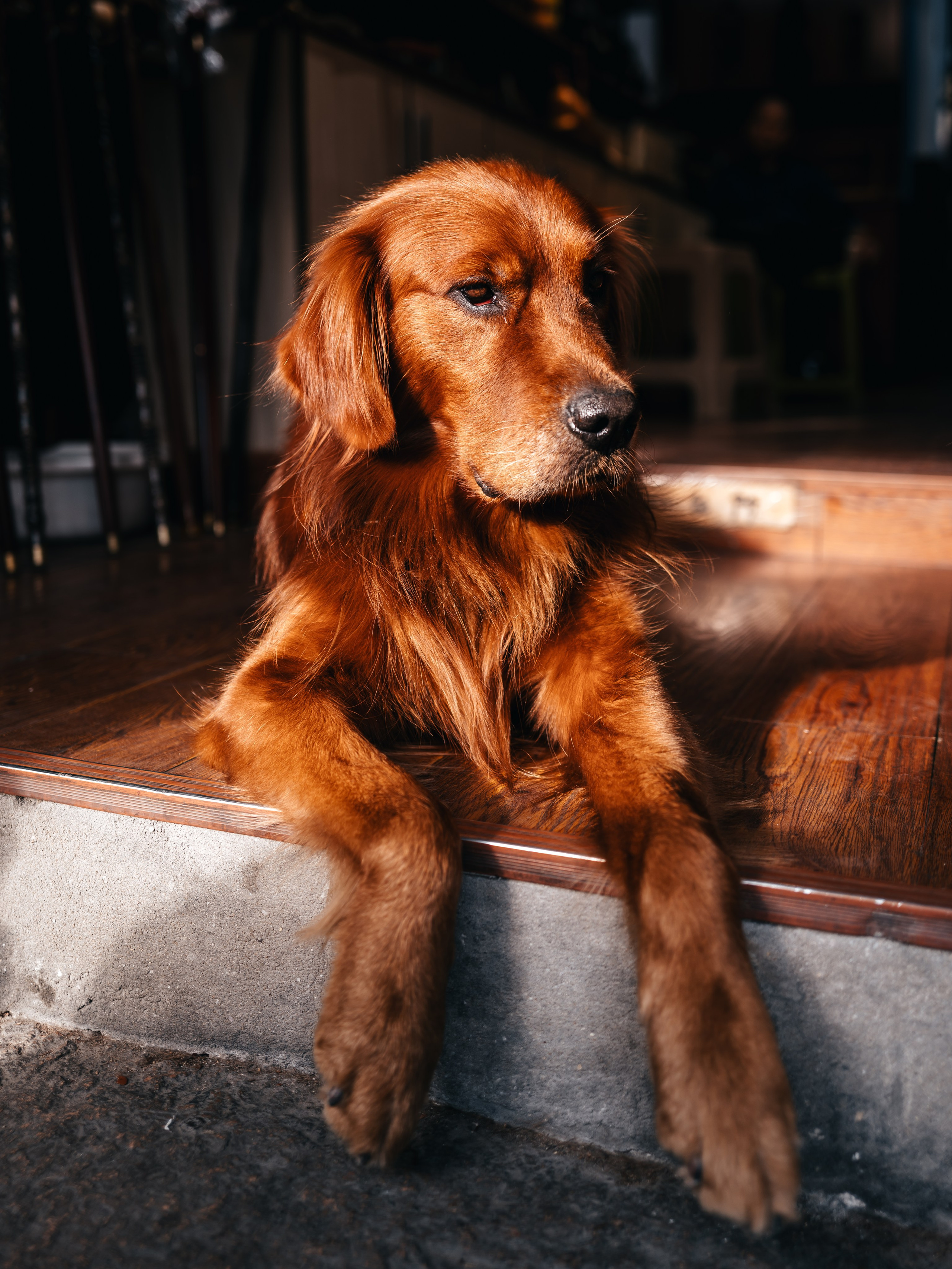 China/Китай. @tomrus: Рустам Шагиморданов — фотограф