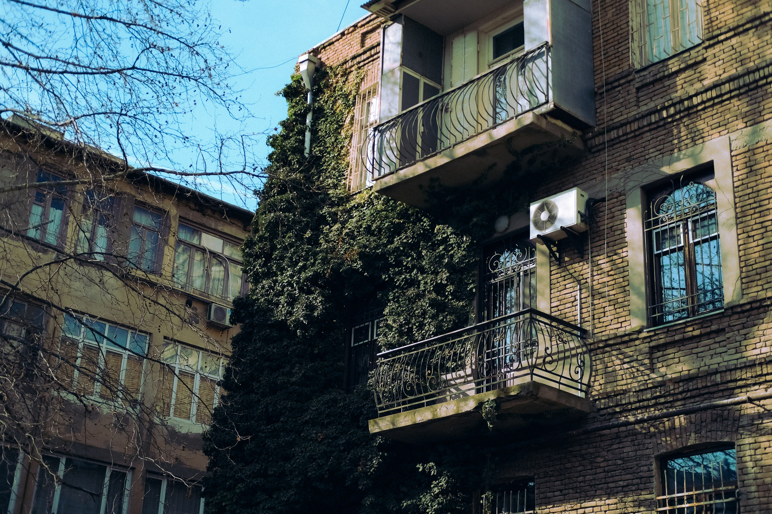 Городская и домашняя съемка в Тбилиси/ Алина и Гриша/ Или фотоблог из спального района. Photographer Tbilisi