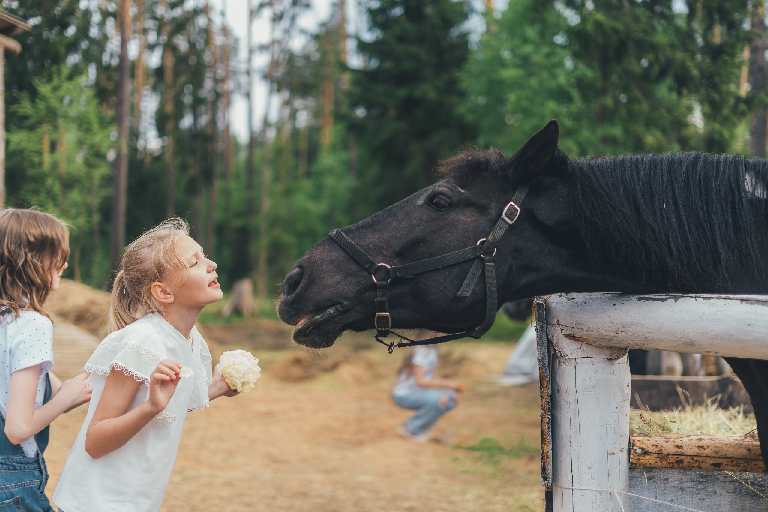 Выпускной 4 класса, Щелково, загородный клуб Барин. Наталья Дукалова фотограф Щелково Королев Пушкино Москва Балашиха