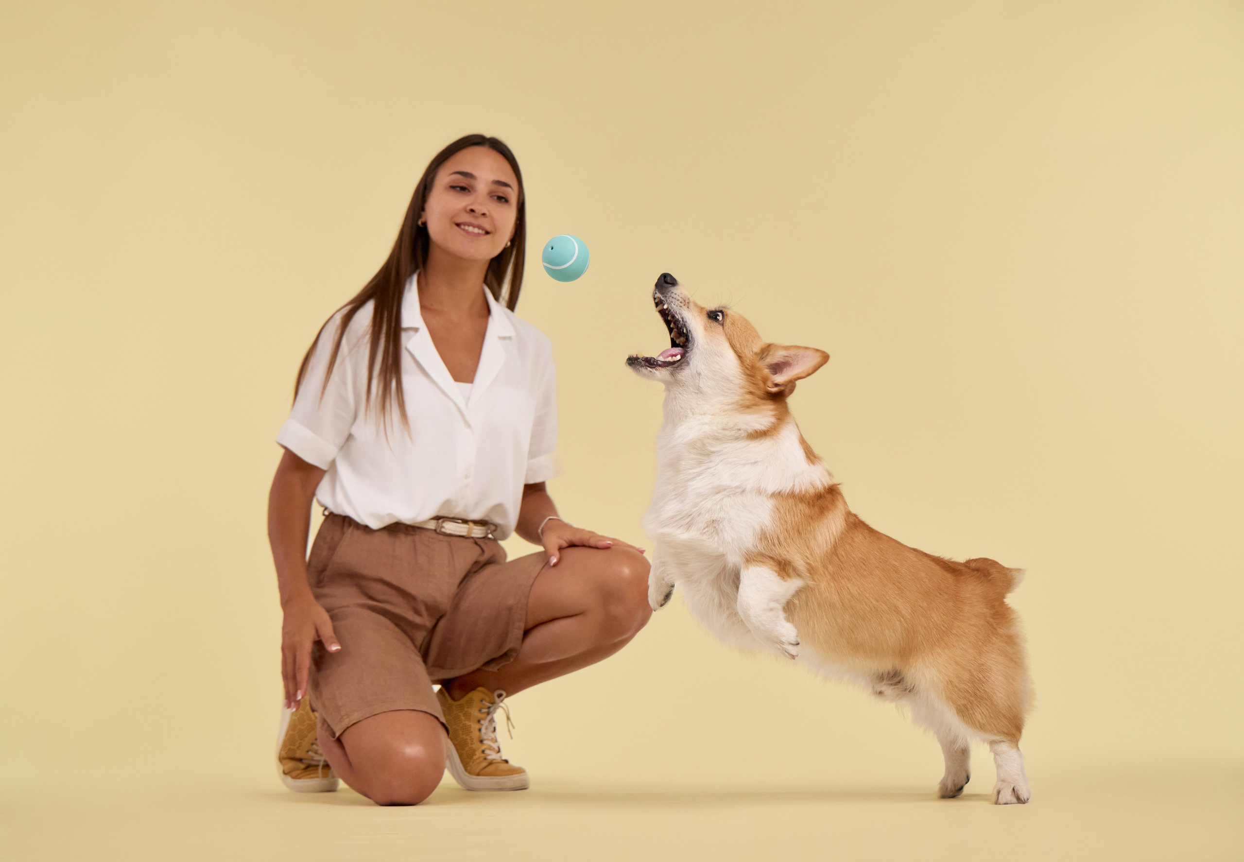 Commercial photography. Фотограф-анималист Аверьянова Анна — Художественная фотосъёмка собак