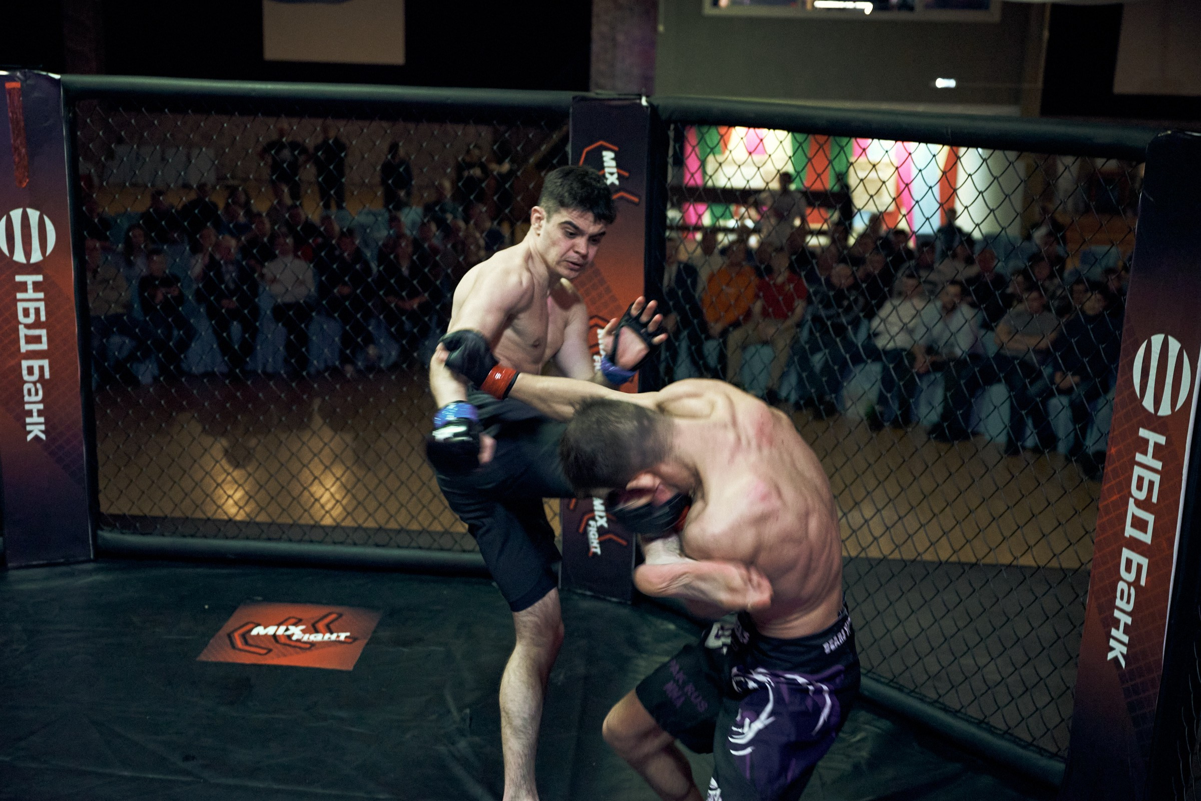 Бои. Маляревич Дмитрий свадебный фотограф