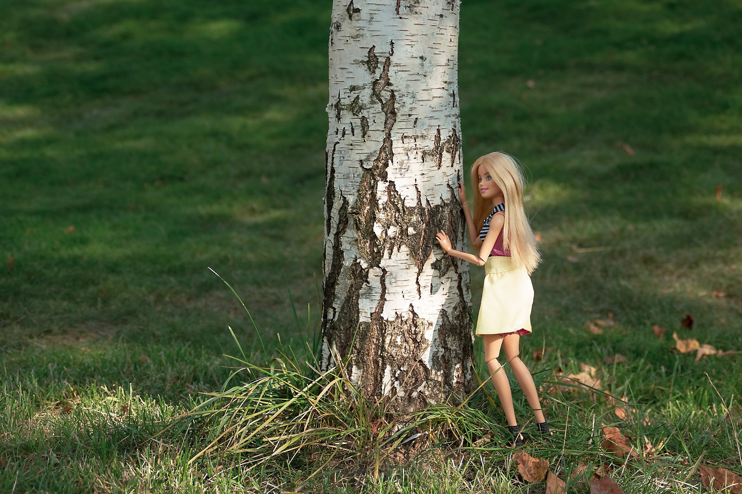 Играй Свою Игру. Аmat Victoria Сuram