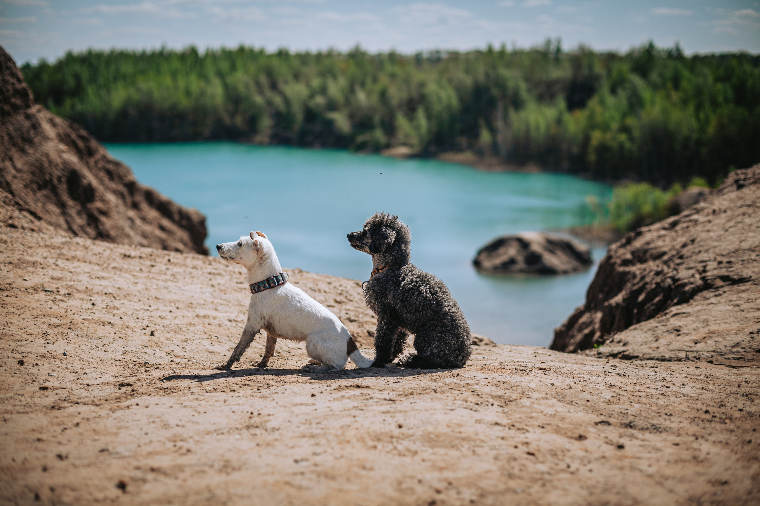 Кондуки. Фотограф-анималист Татьяна Степанова