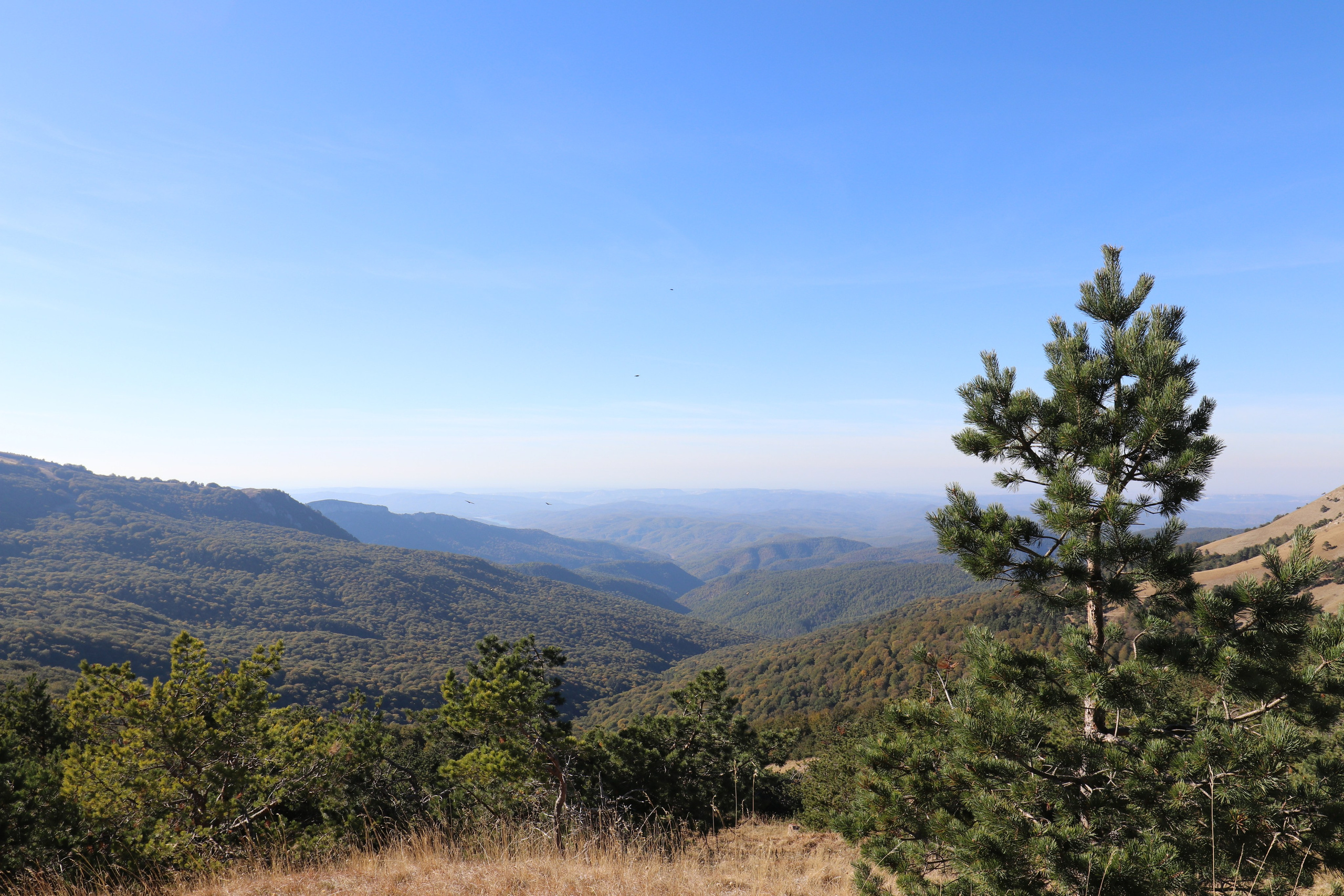 Крым. ЮБК (Фиолент, Ай-Петри, Роман-Кош). Знакомство. Октябрь 2017. Путешественник-фотограф из Санкт-Петербурга Татьяна Свистулина