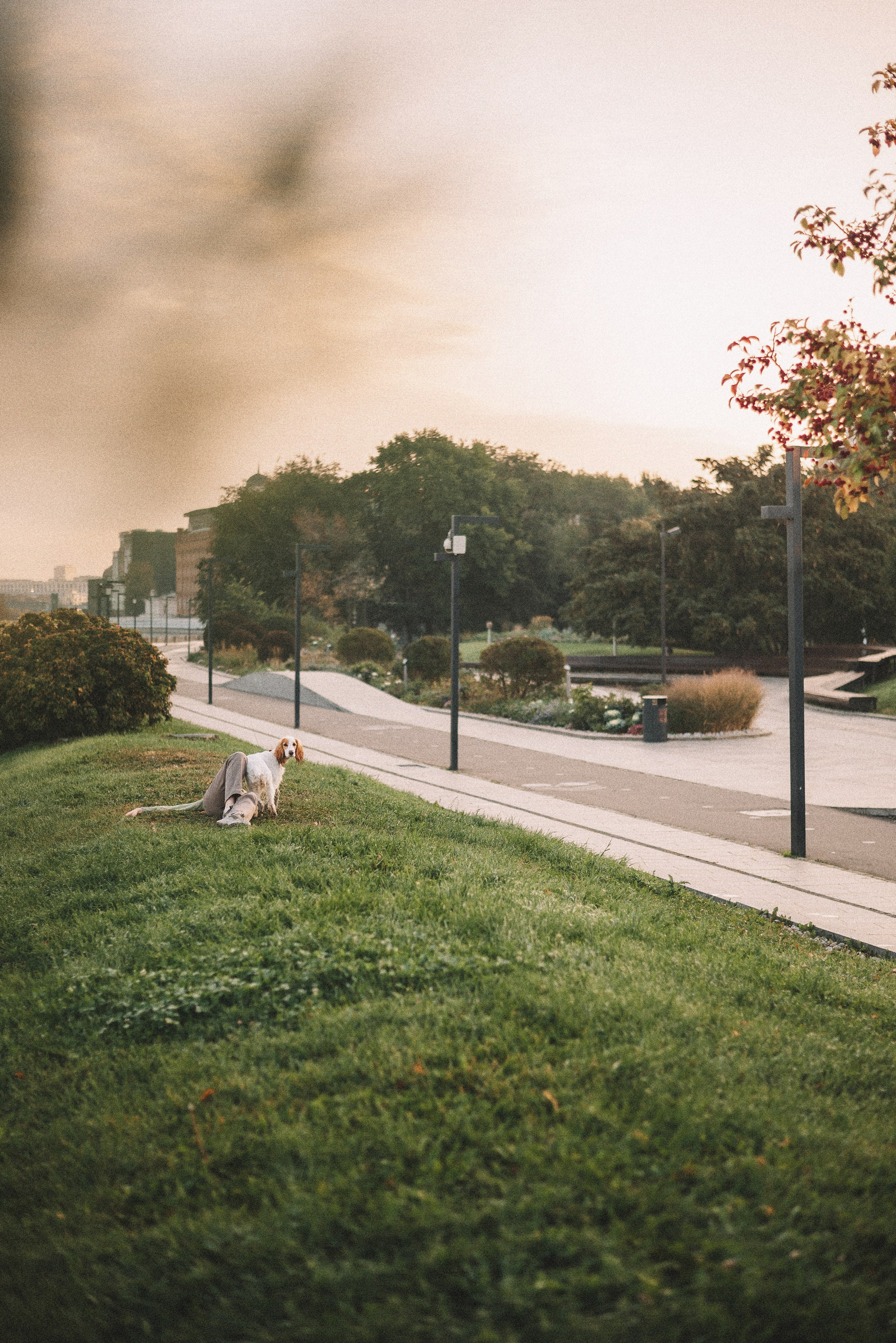Маша и Вега. Фотограф-анималист Богданова Полина