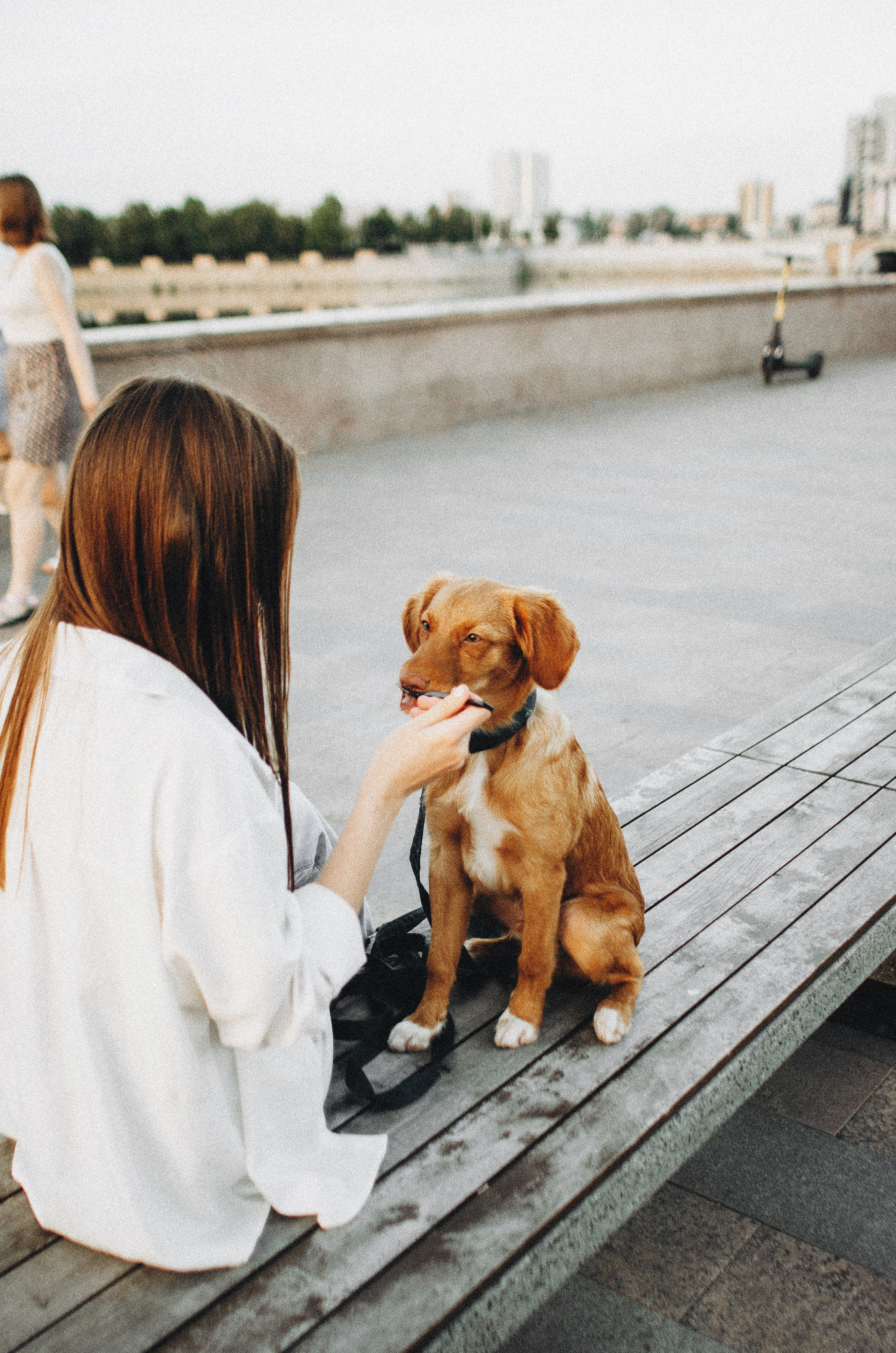 Вика и Хардин. Фотограф-анималист Богданова Полина
