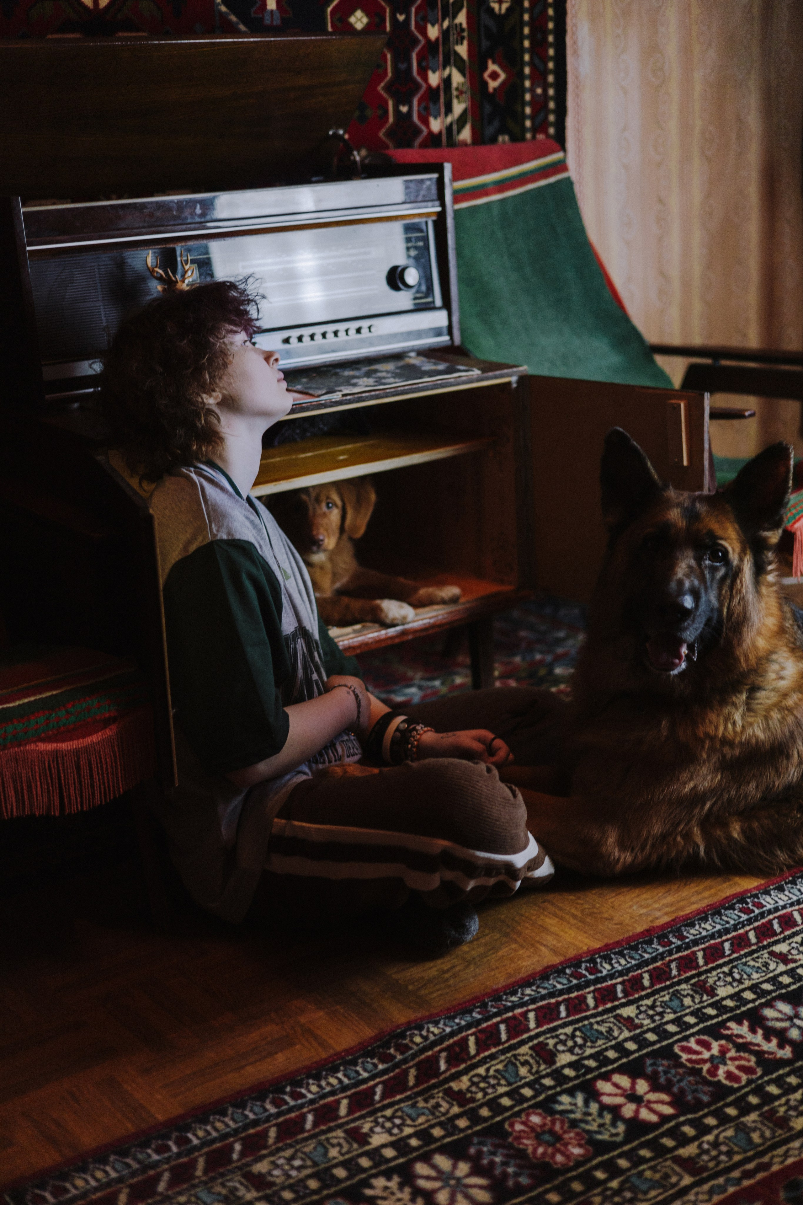 Лера, Реджи и Ральф. Фотограф-анималист Богданова Полина