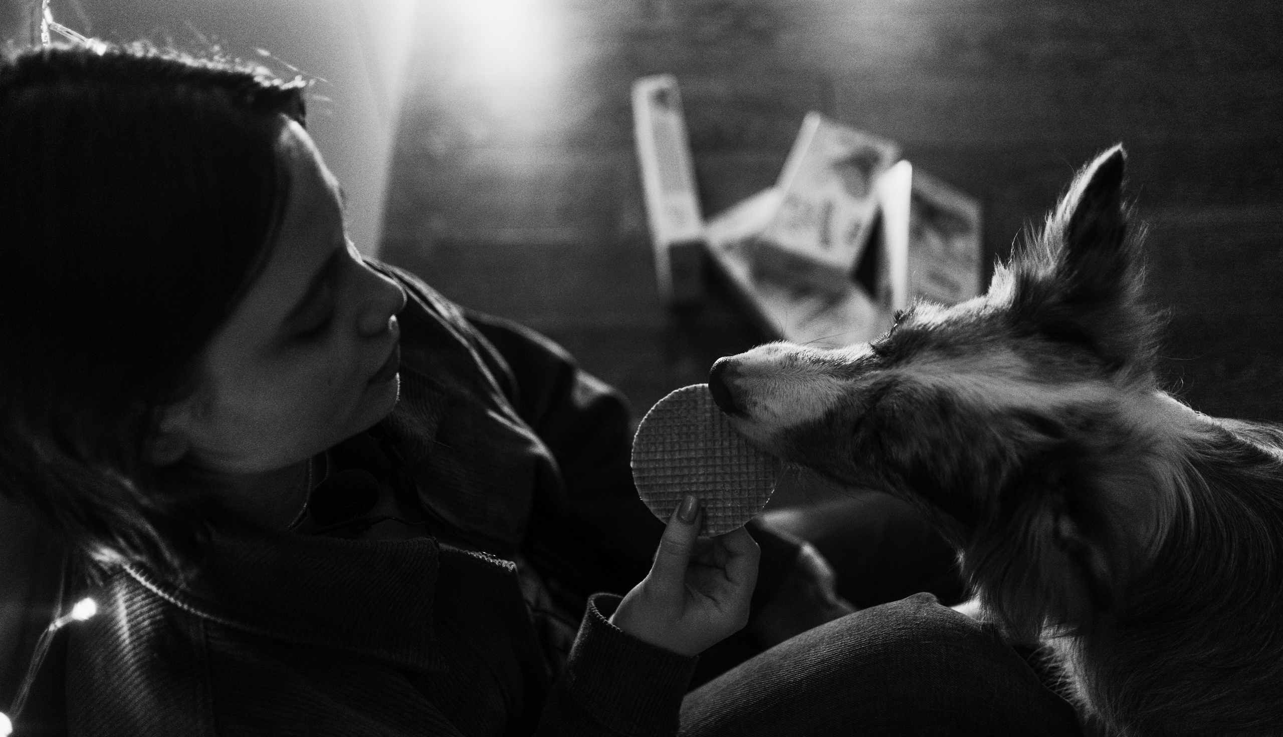 Аня и Дэймон. Фотограф-анималист Богданова Полина