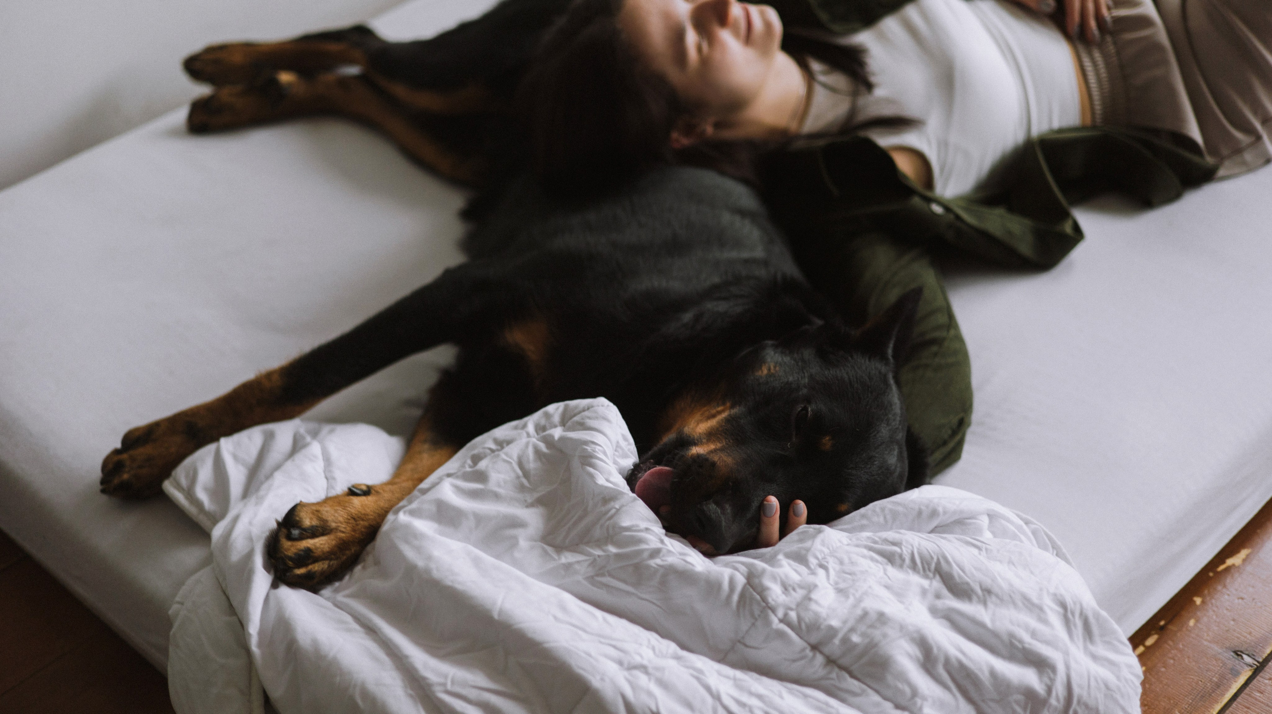 Полина и Зевс. Фотограф-анималист Богданова Полина