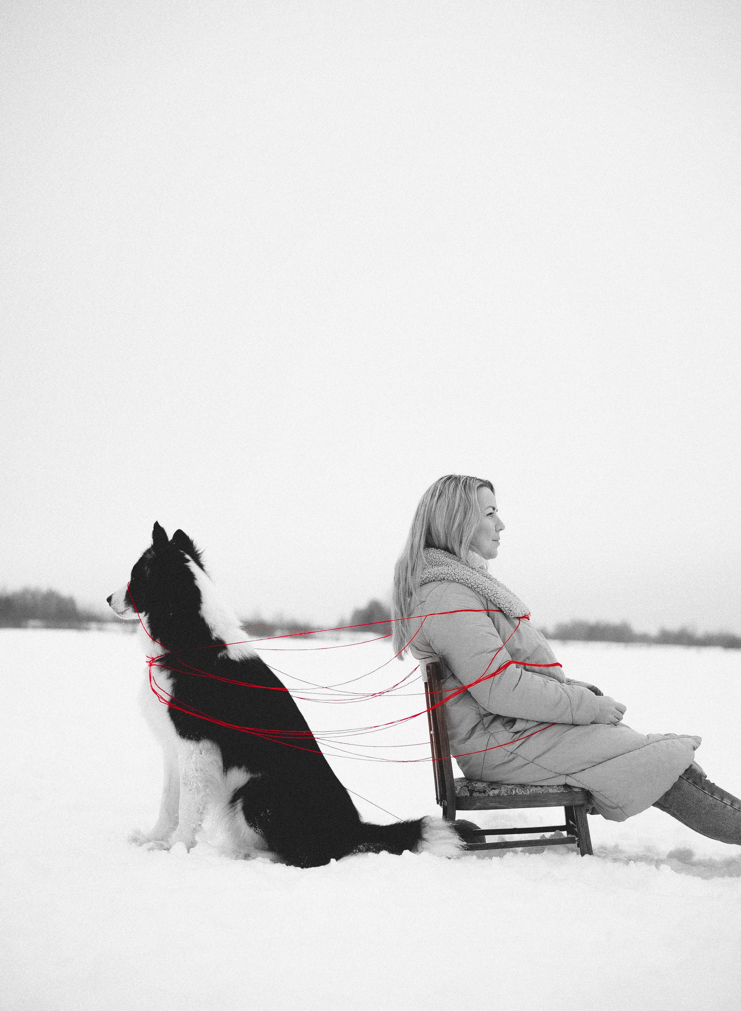Анна и Тео. Фотограф-анималист Богданова Полина