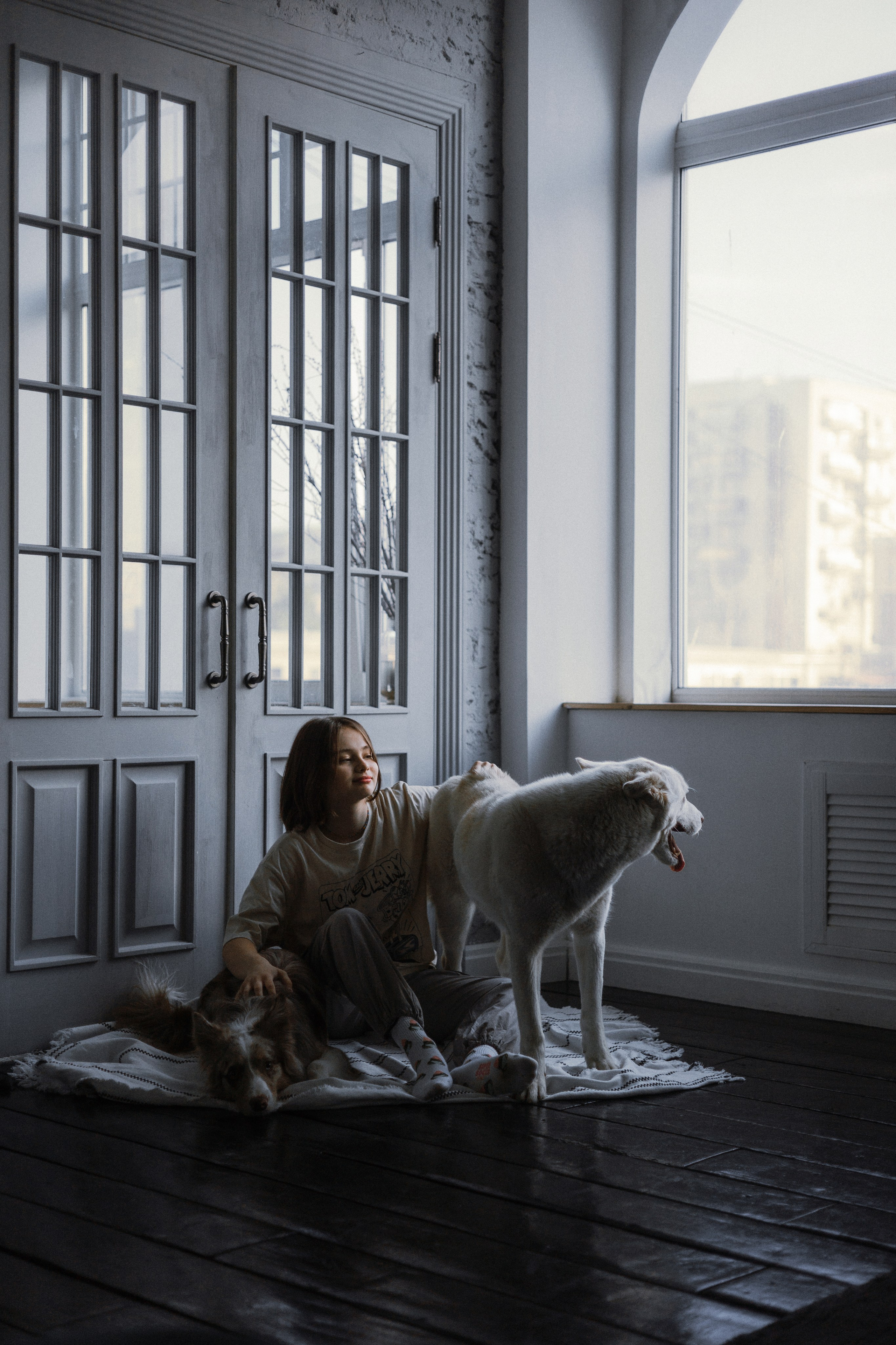 Аня, Дэймон и Грэй. Фотограф-анималист Богданова Полина