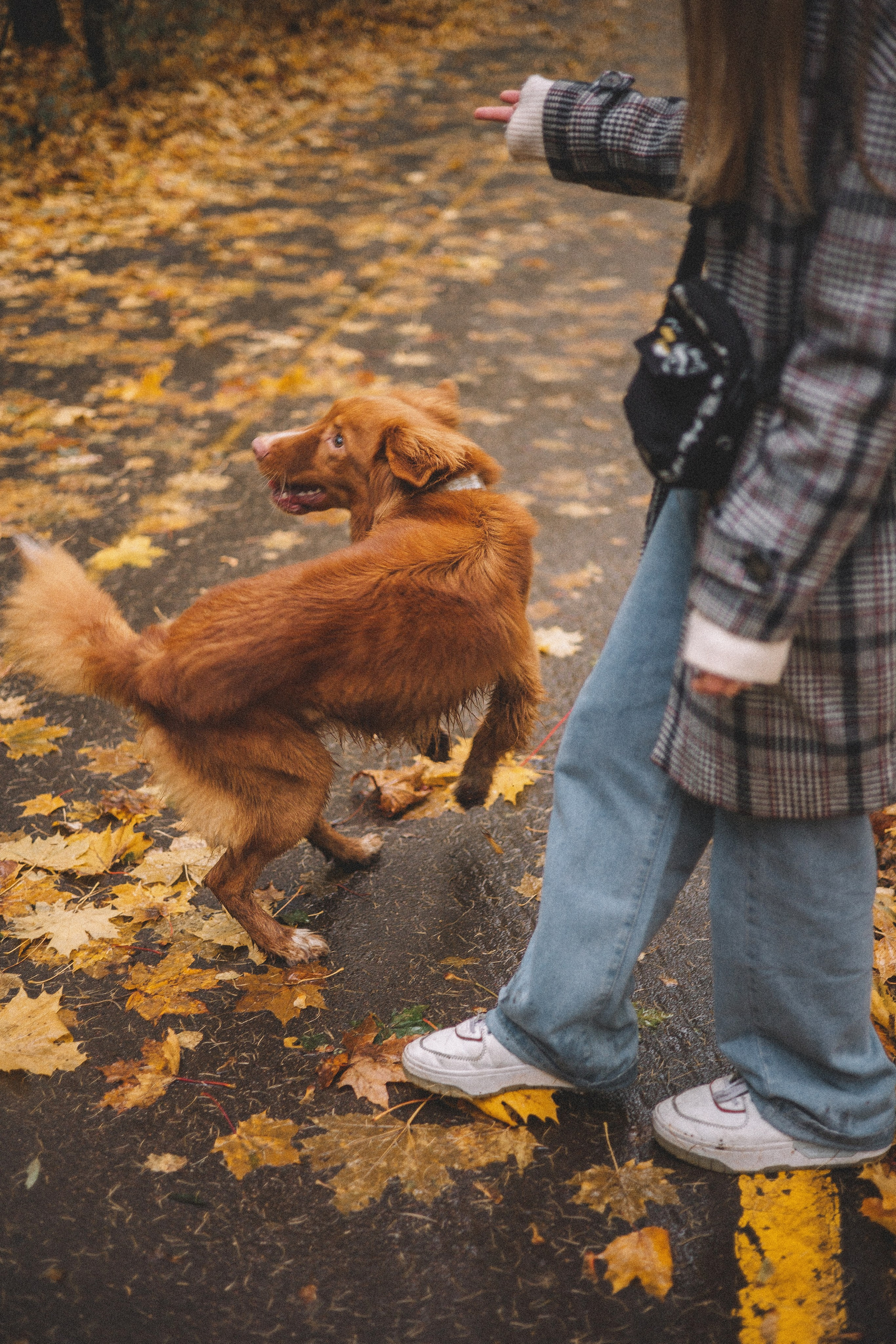 Алина и Бис. Фотограф-анималист Богданова Полина