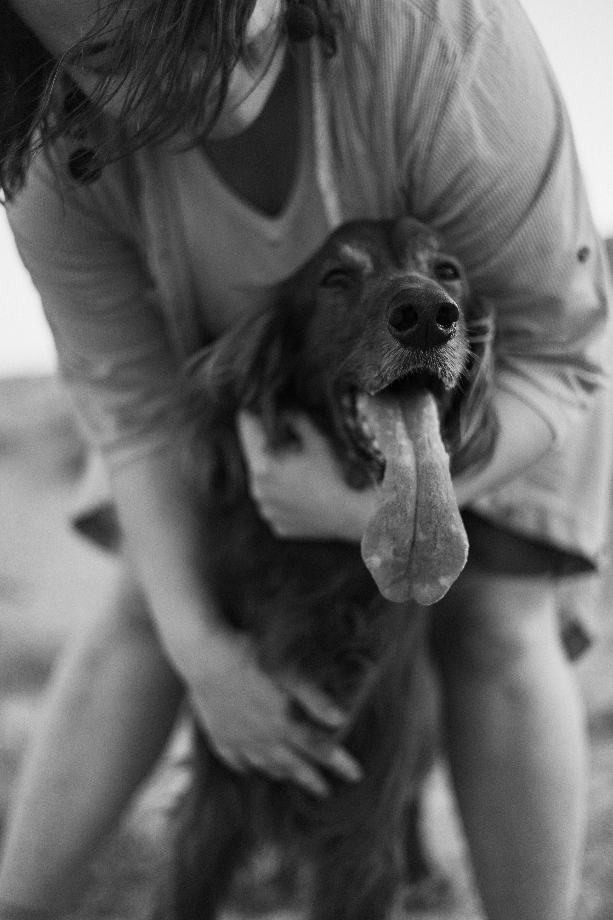 Ольга и Шеймас. Фотограф-анималист Богданова Полина