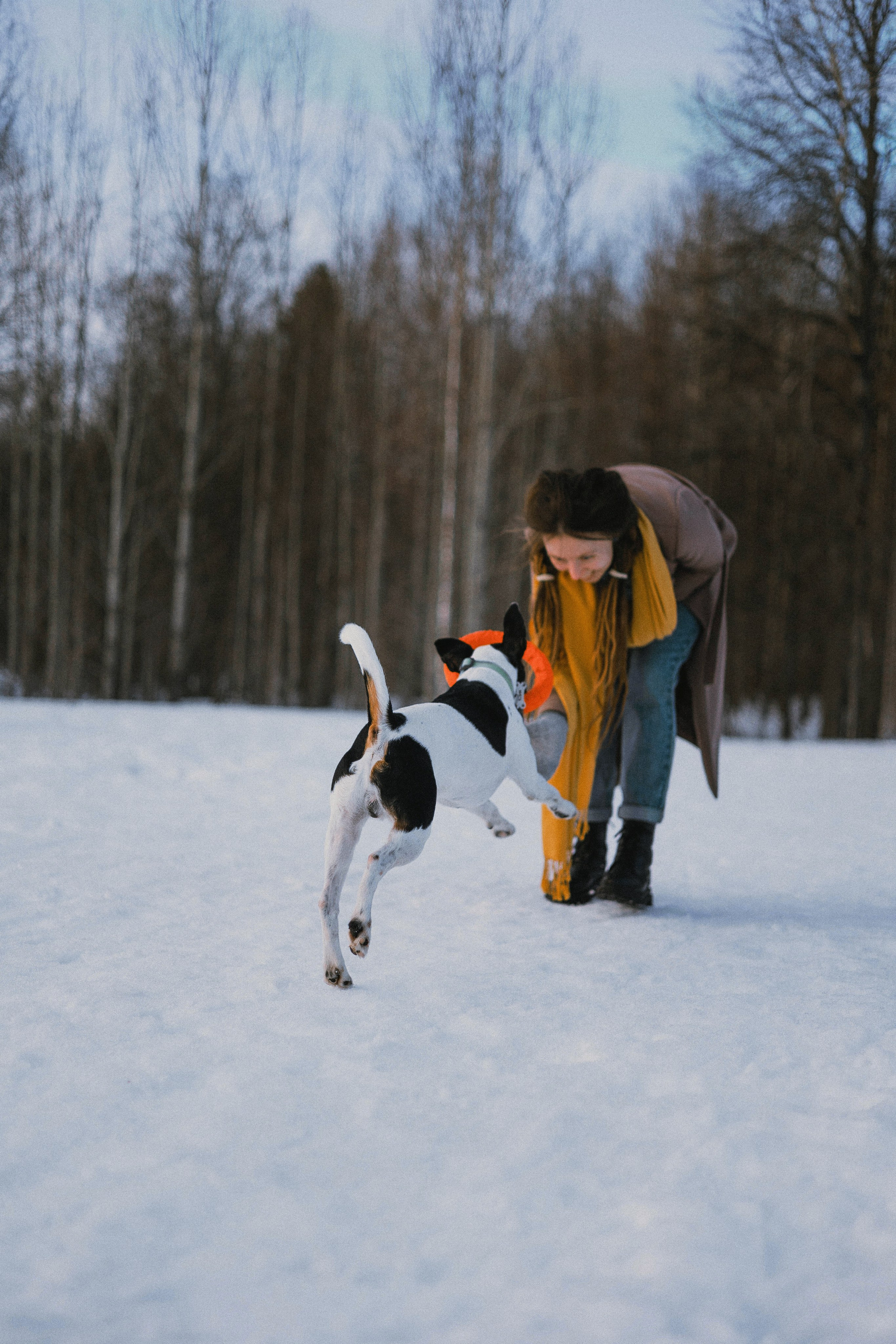 Ольга и Сэм. Фотограф-анималист Богданова Полина