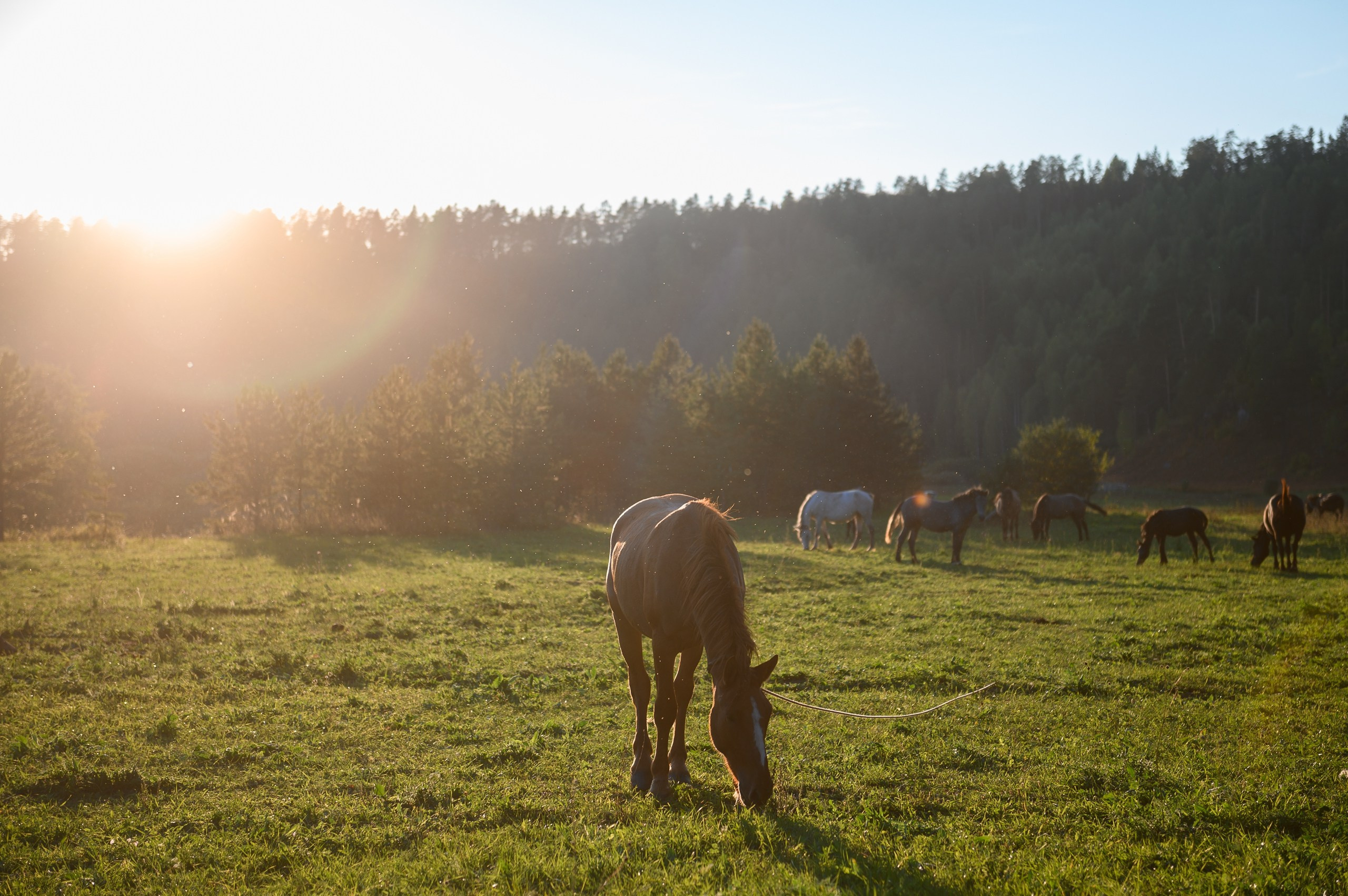 «Ночное». Репортажный фотограф в Кирове Александр Лутошкин